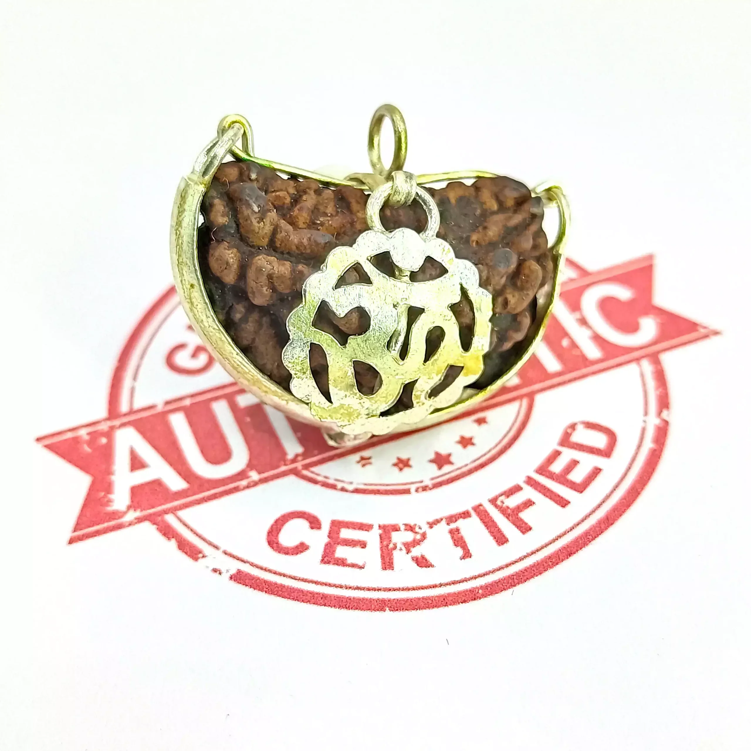 1 Faced Rudraksha – India - Image 6