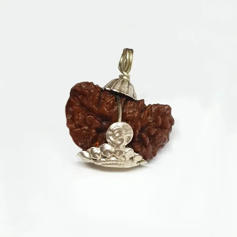 1 Faced Rudraksha – India - Image 8