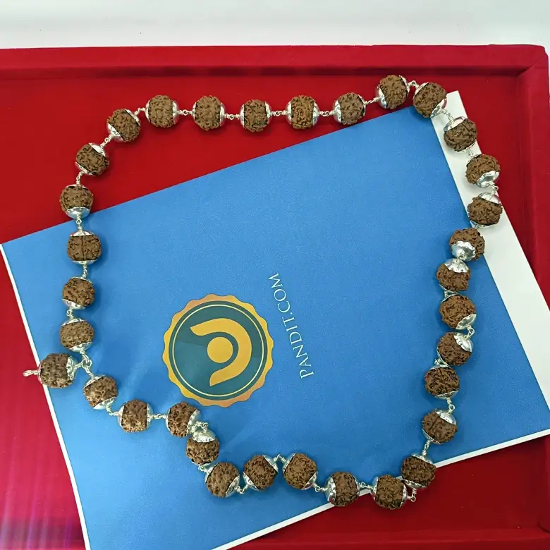 1 Mukhi Mahaguru Mala - To Increase Wealth and Spirituality - Image 3