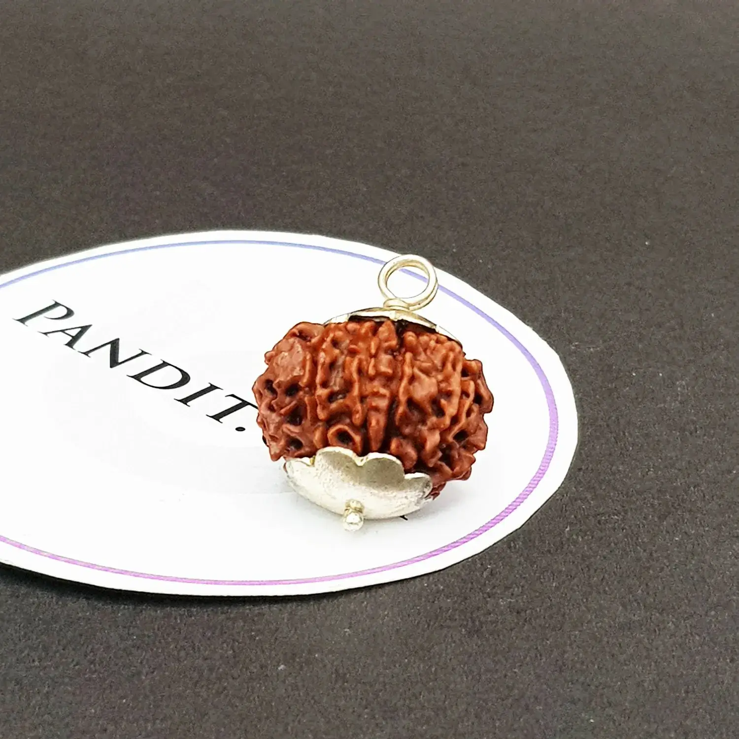 10 Faced Rudraksha - Nepal - Image 4