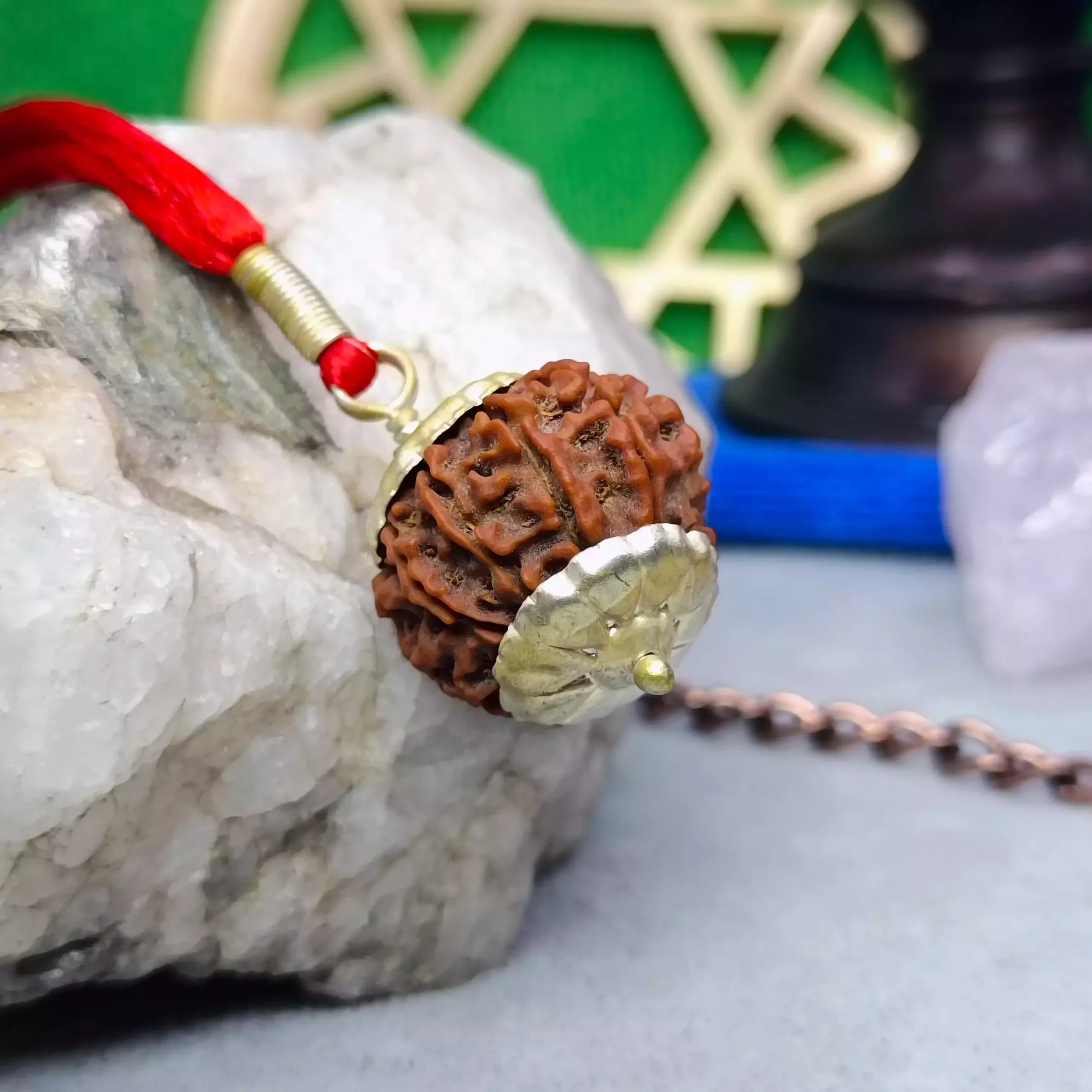 10 Faced Rudraksha - Nepal - Image 7
