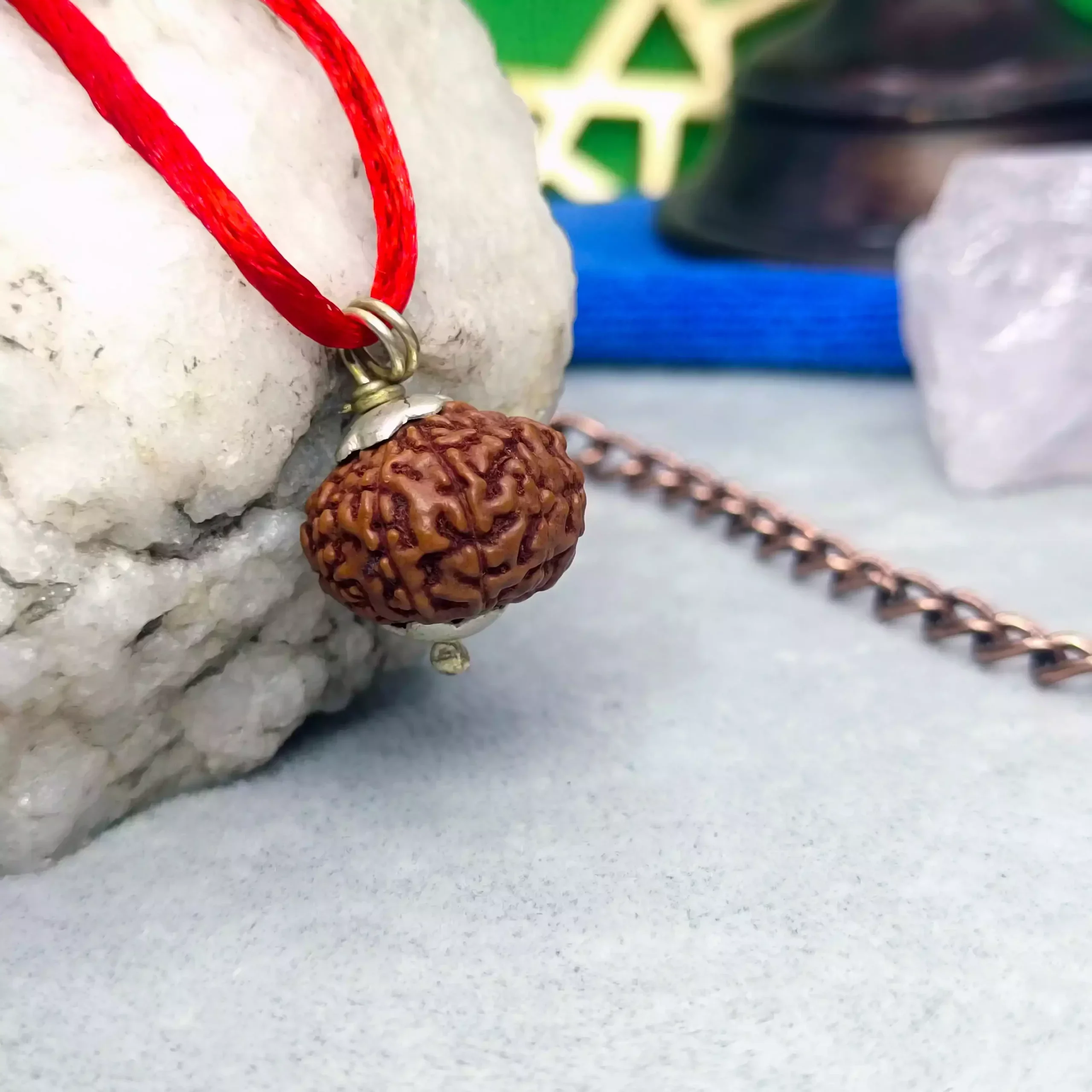 10 Mukhi Rudraksha - Indonesia - Image 6