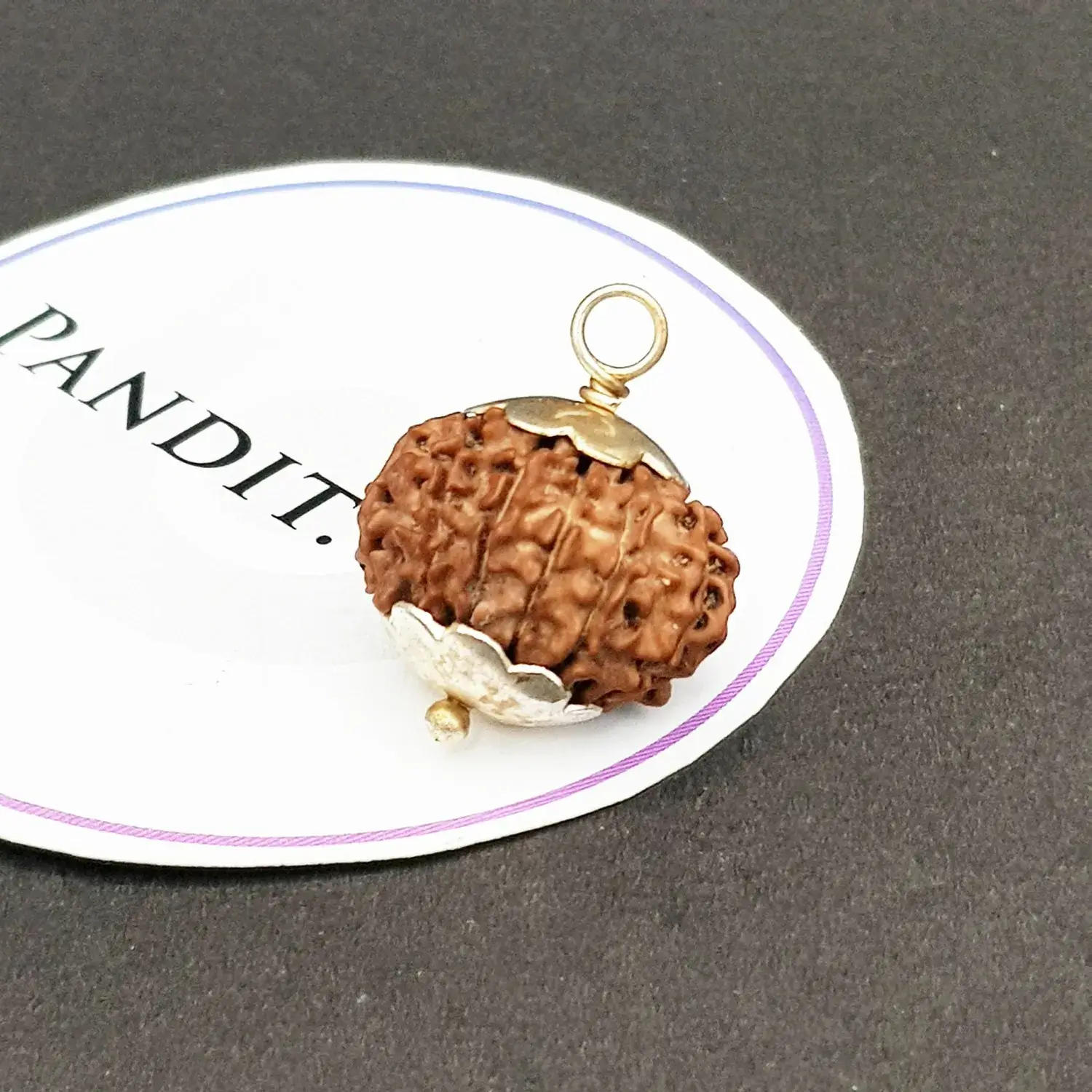 11 Faced Rudraksha - Nepal - Image 3
