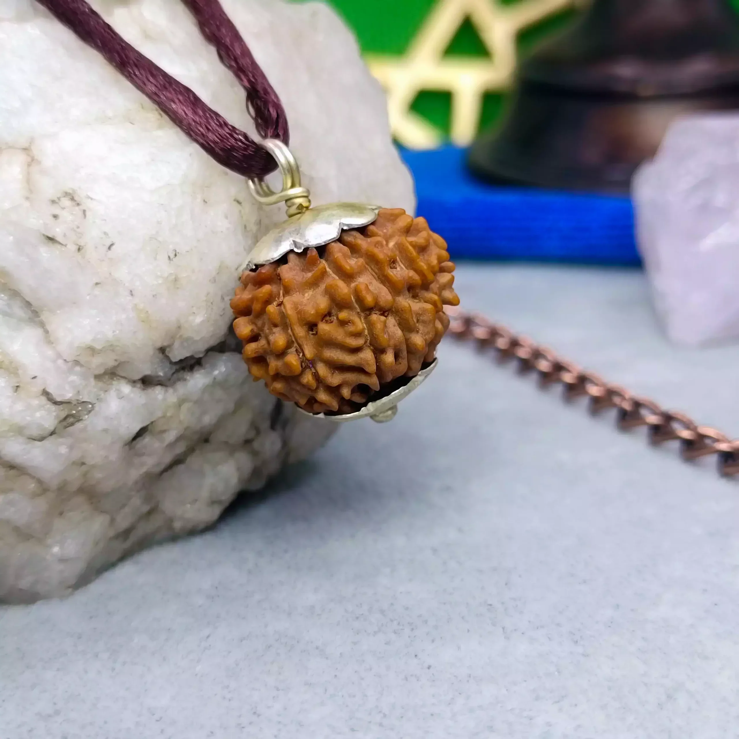 11 Faced Rudraksha - Nepal - Image 5