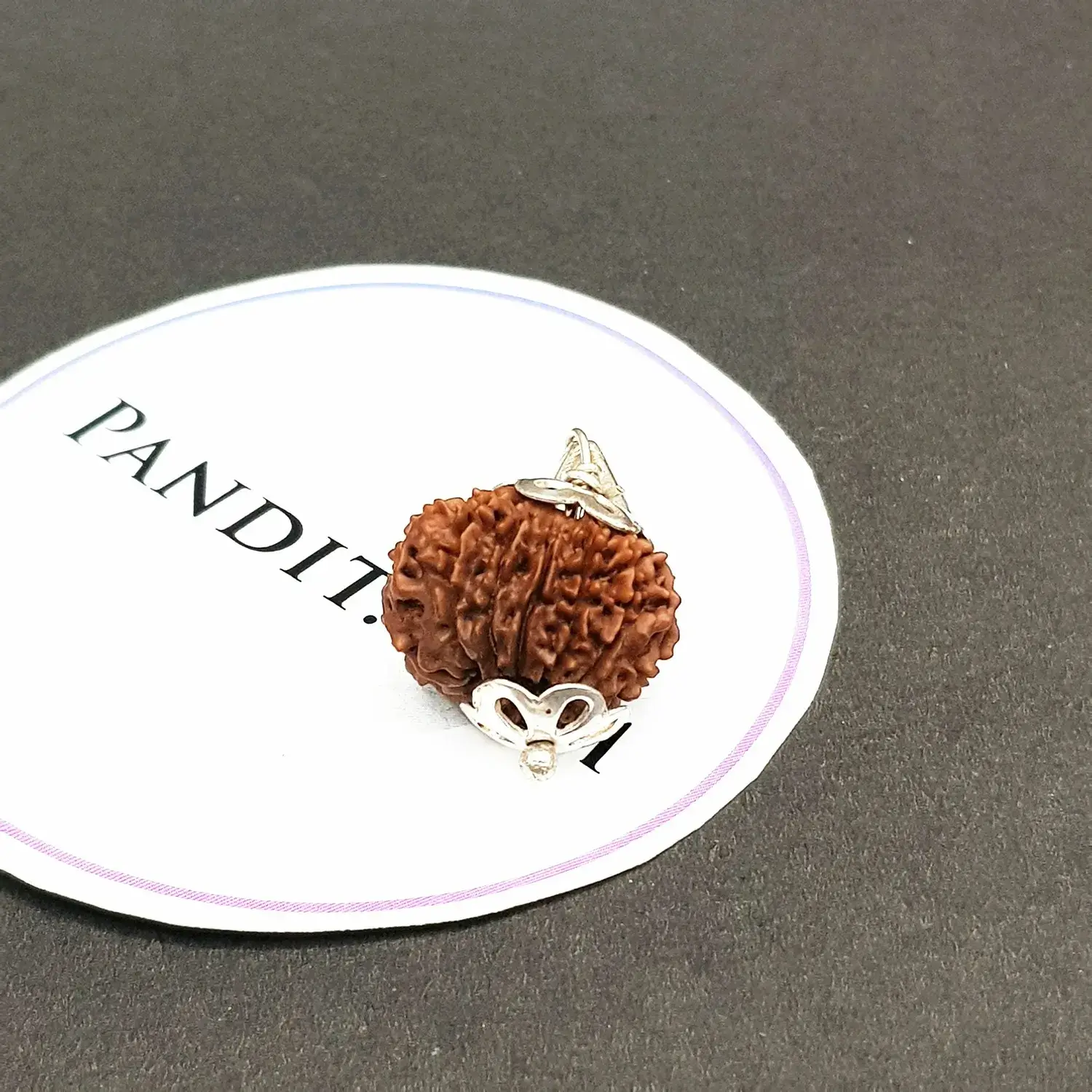 13 Faced Rudraksha - Nepal - Image 3