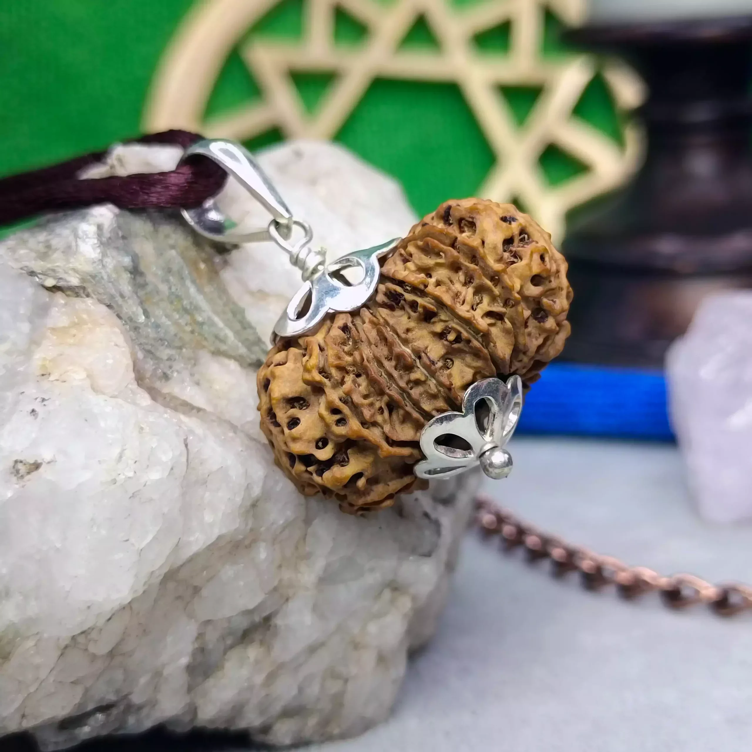 13 Faced Rudraksha - Nepal - Image 5