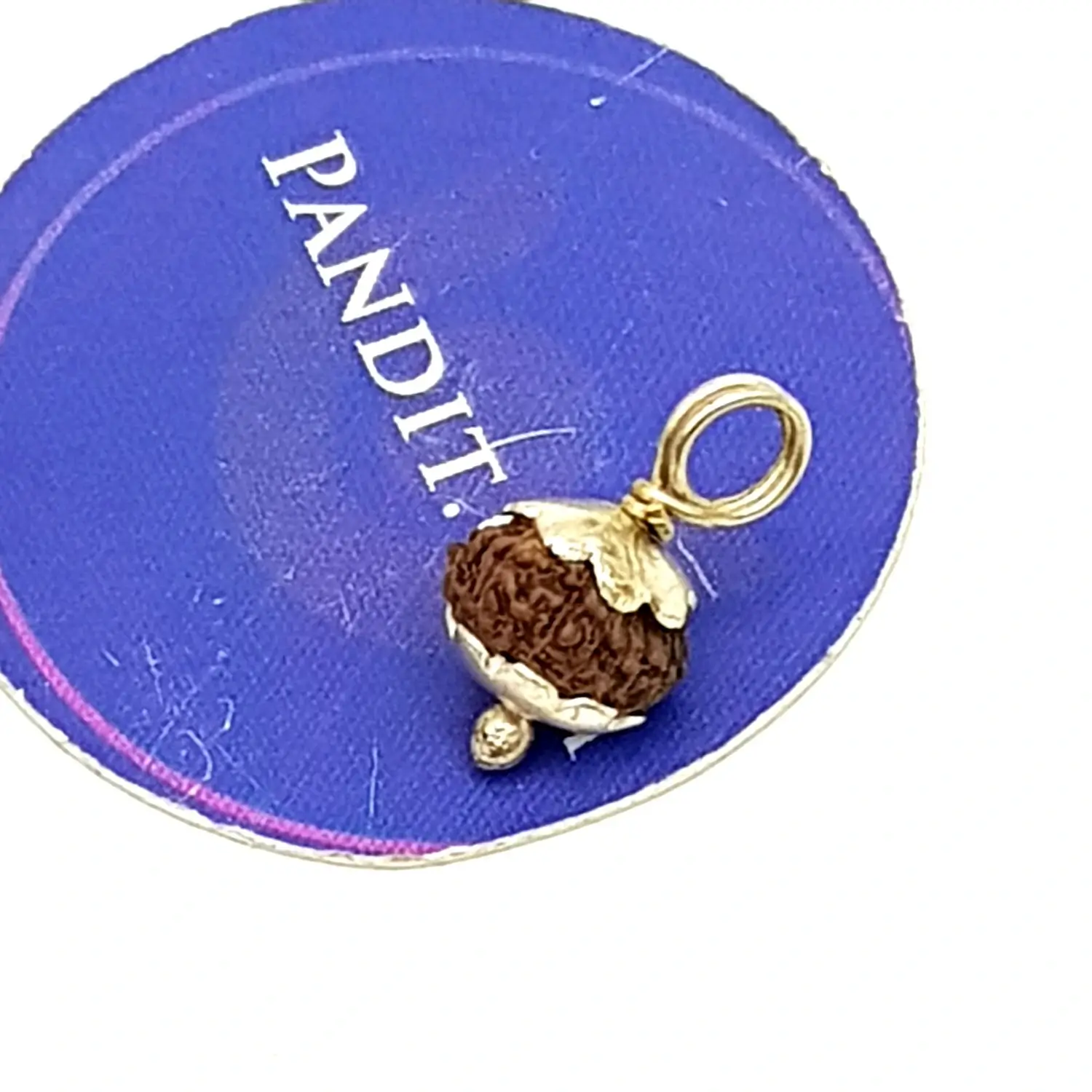 13 Mukhi Rudraksha - Indonesia - Image 4