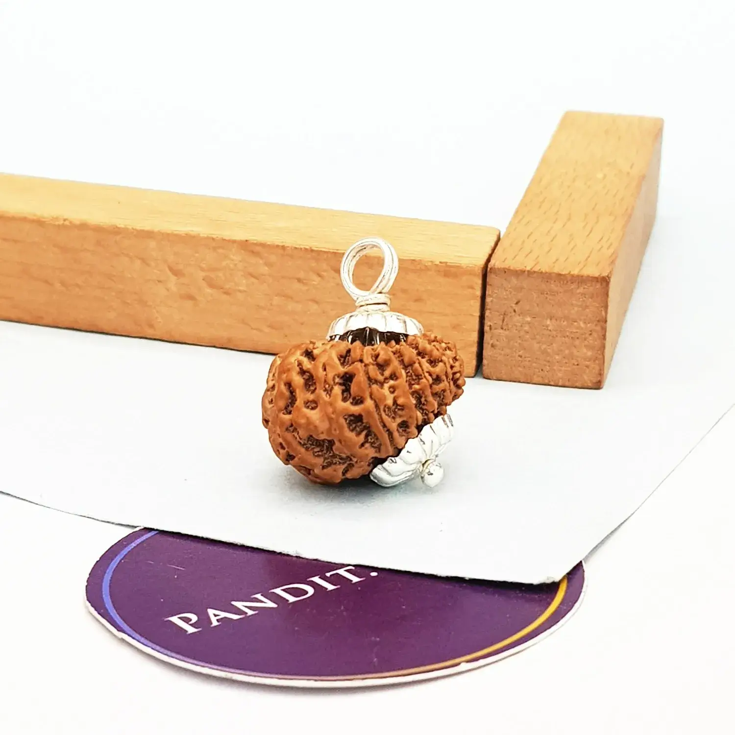 16 Faced Rudraksha – Nepal - Image 4