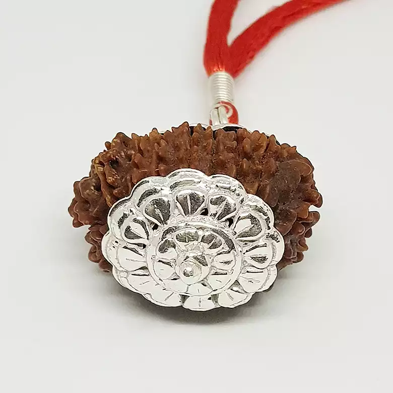 16 Faced Rudraksha – Nepal - Image 5