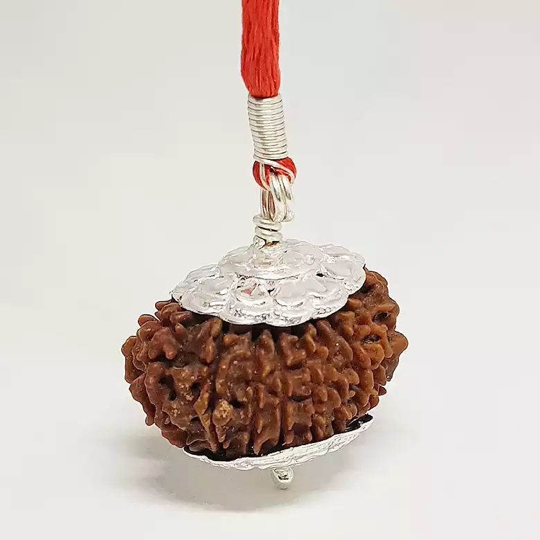 16 Faced Rudraksha – Nepal - Image 6
