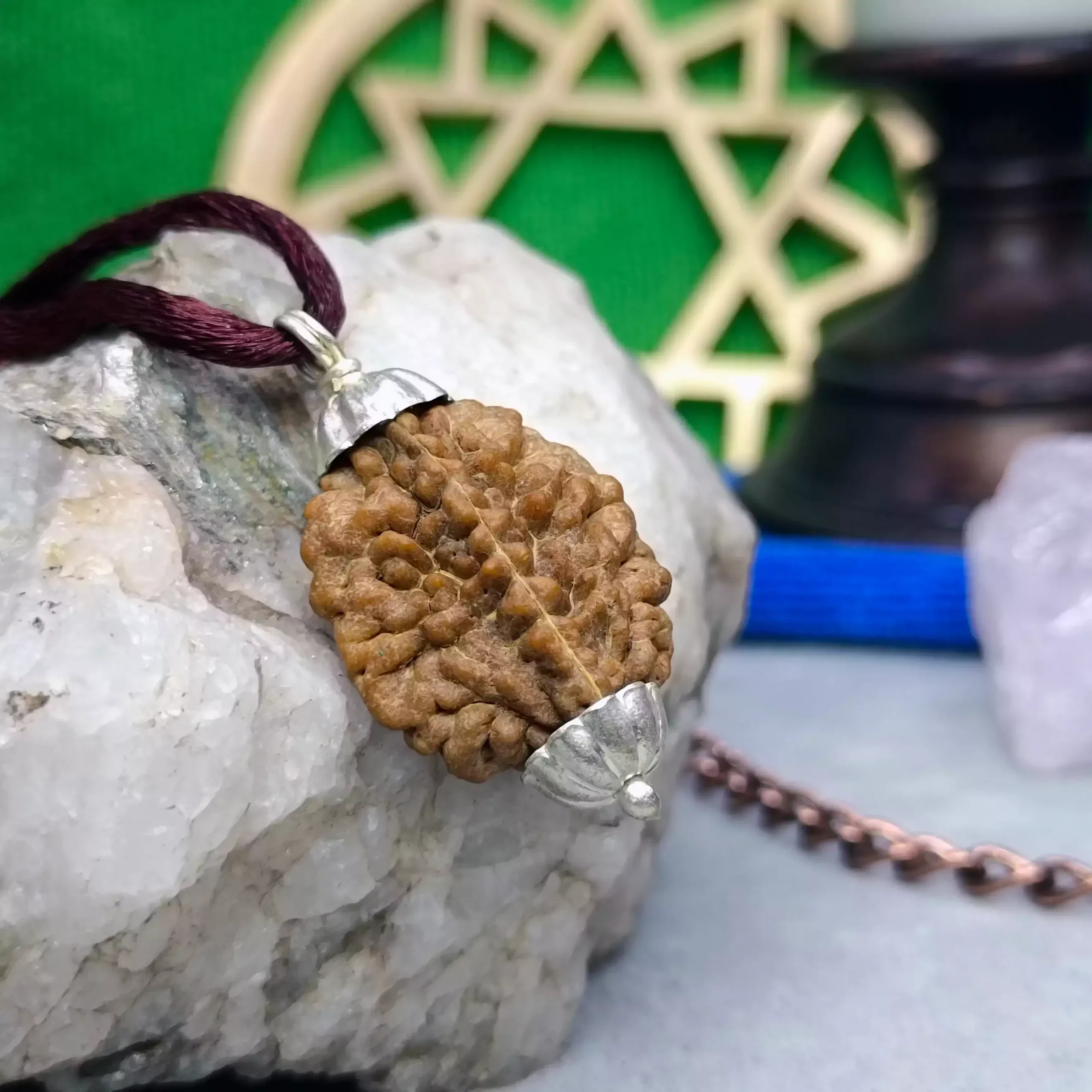 2 Faced Rudraksha - India - Image 2