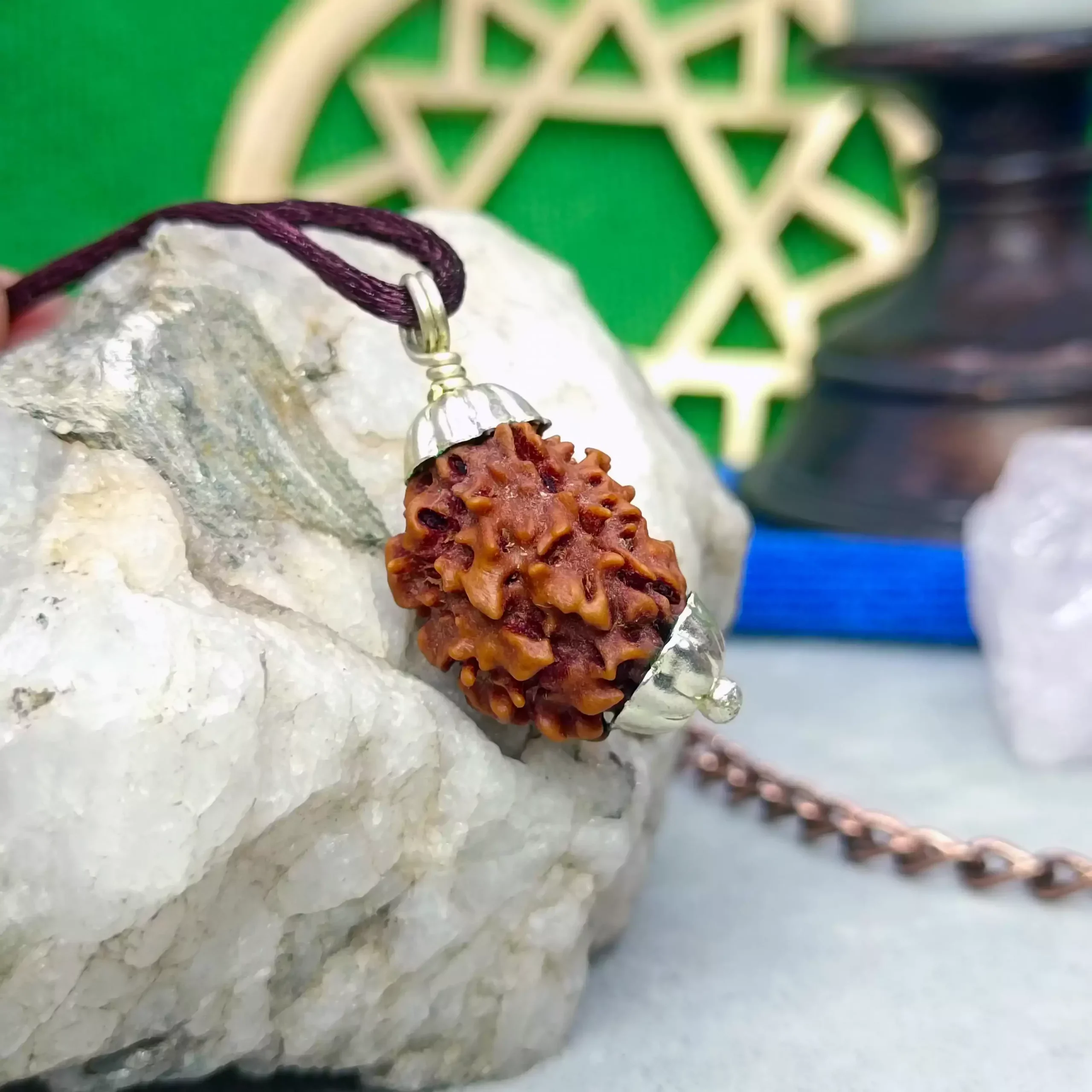3 Faced Rudraksha - Nepal - Image 5