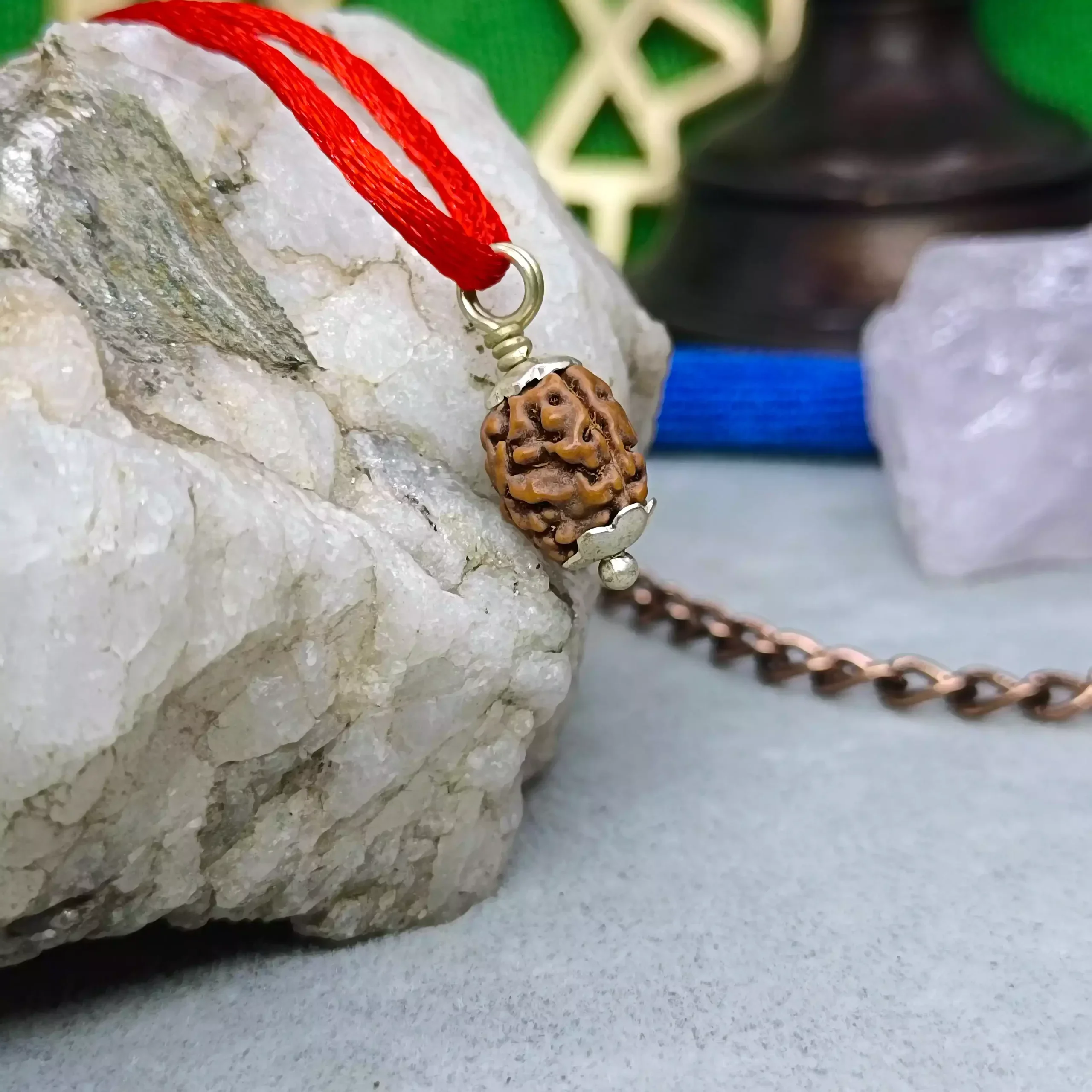 3 Mukhi Rudraksha - Indonesia - Image 7