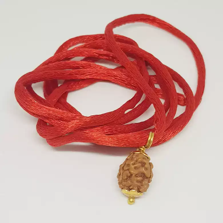 3 Mukhi Rudraksha - Indonesia - Image 9
