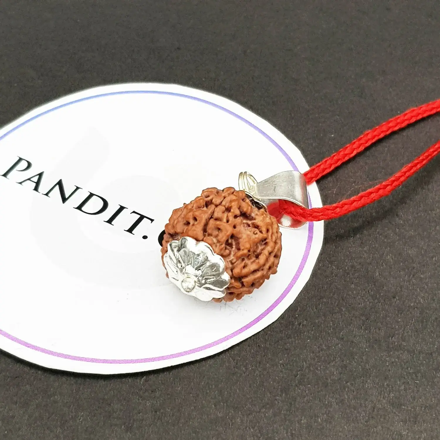 4 Faced Rudraksha - Nepal - Image 3