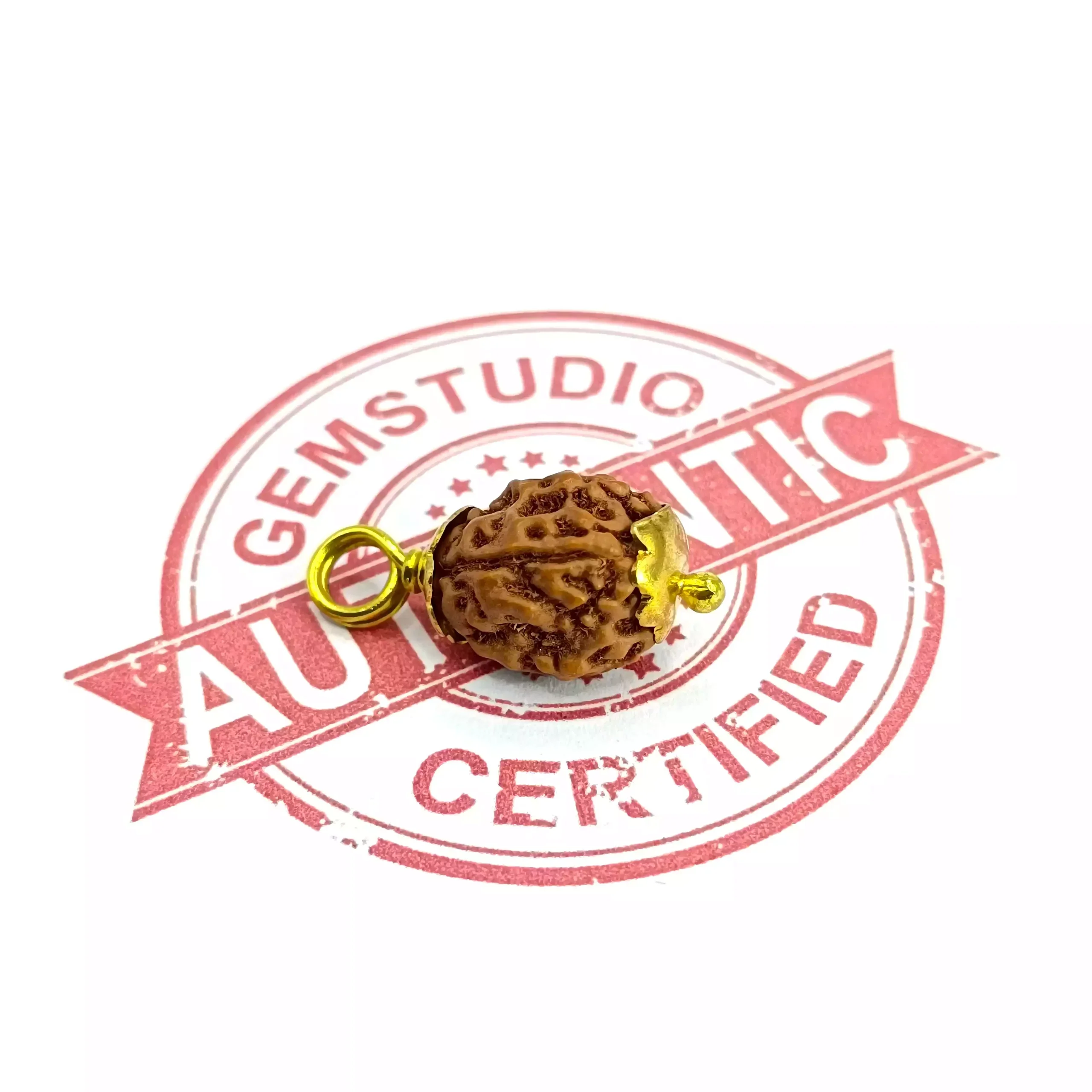 4 Mukhi Rudraksha - Indonesia - Image 7