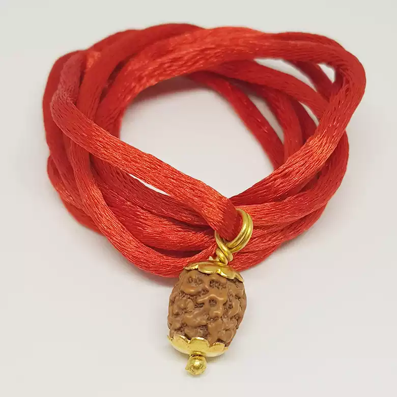 4 Mukhi Rudraksha - Indonesia - Image 8