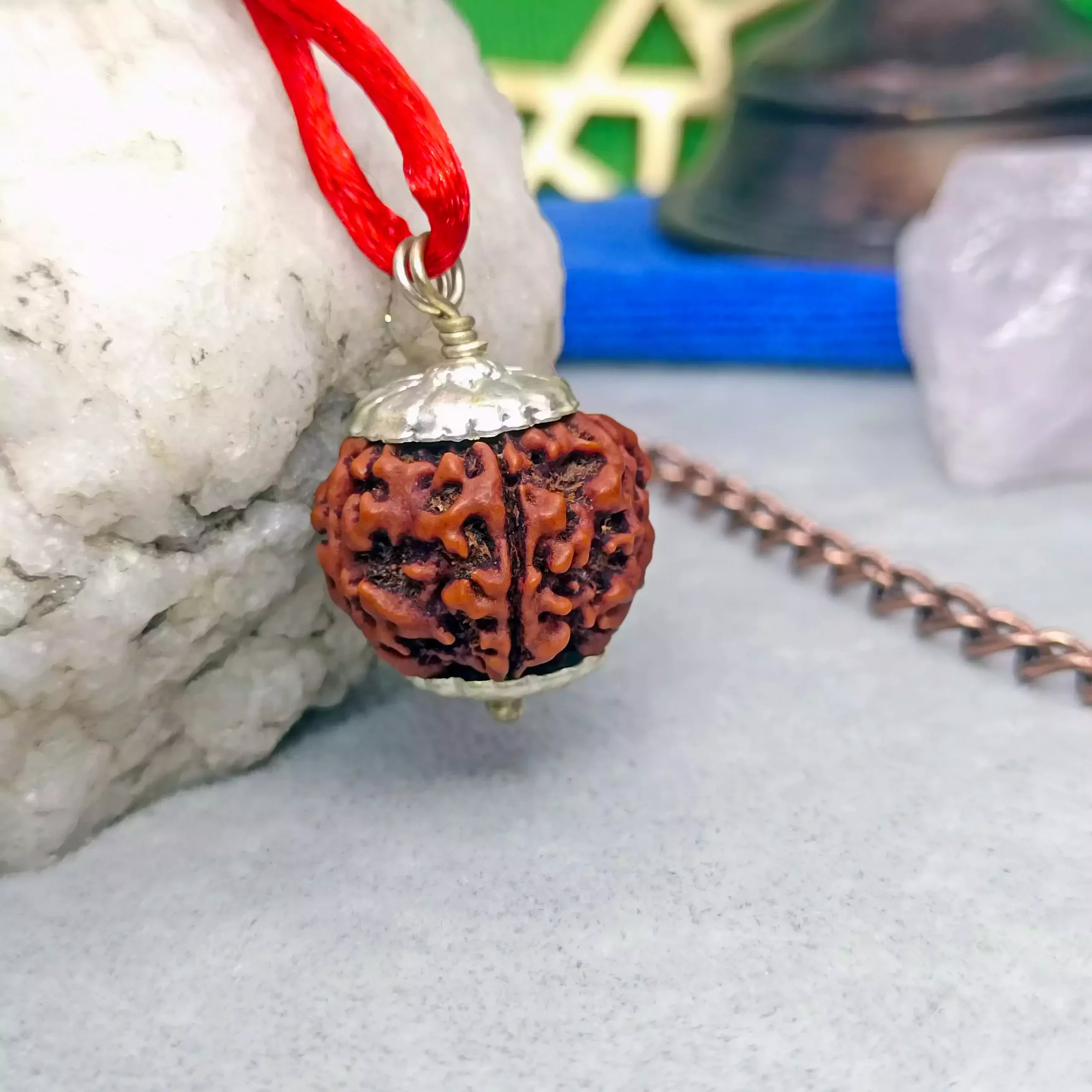 5 Faced Rudraksha - Nepal - Image 6