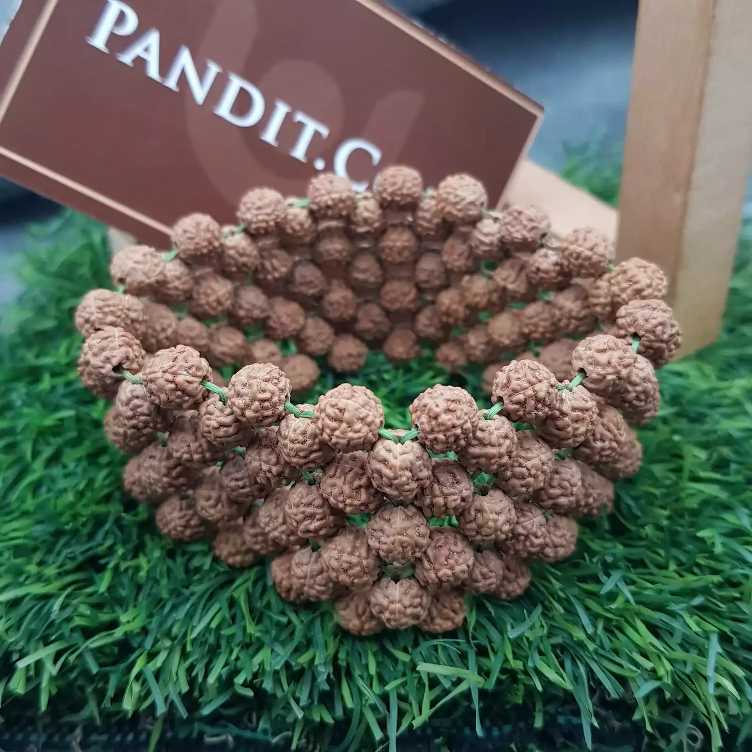 5 Mukhi Rudraksha Bracelet - To Be a Motivational Speaker - Image 3