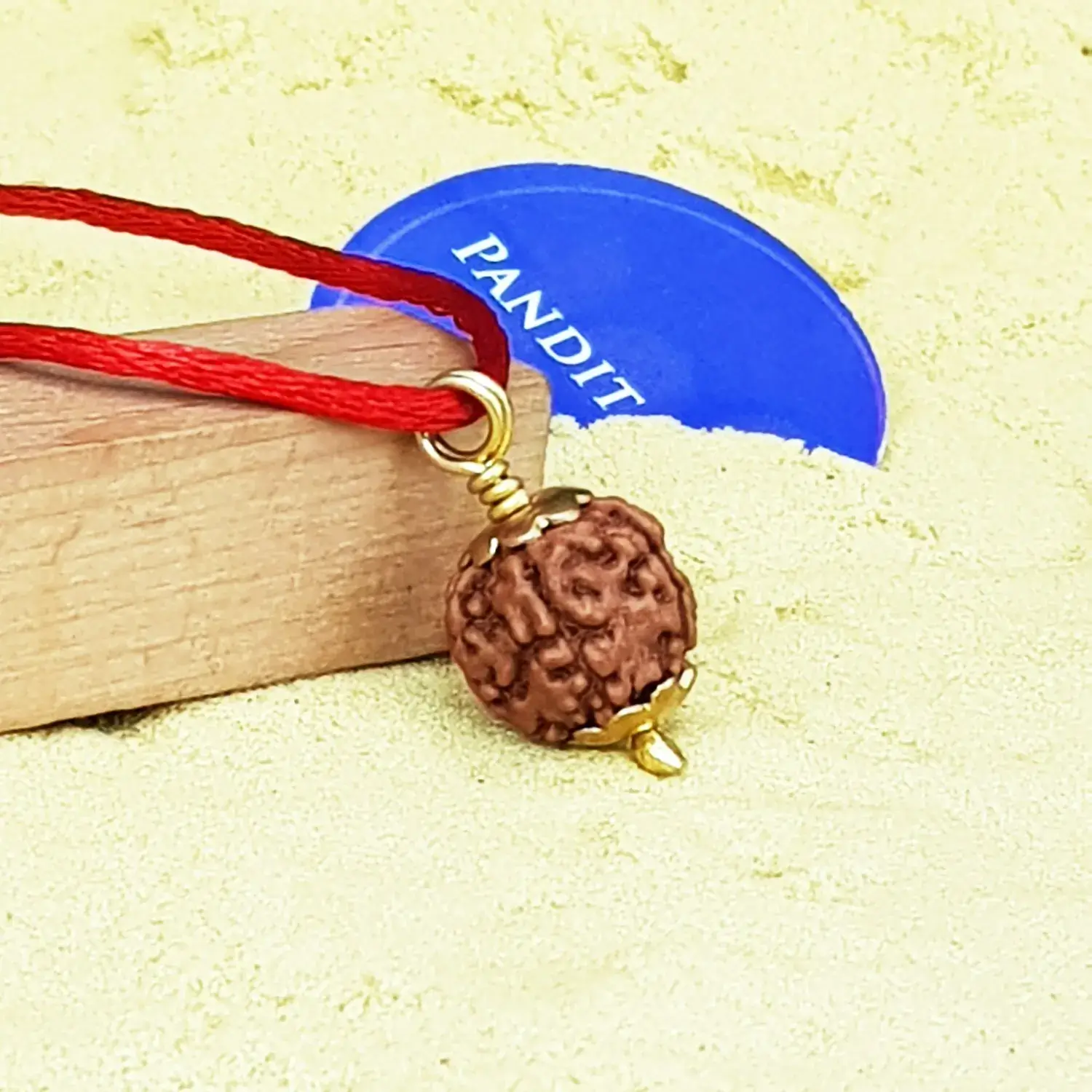 5 Mukhi Rudraksha - Indonesia - Image 3