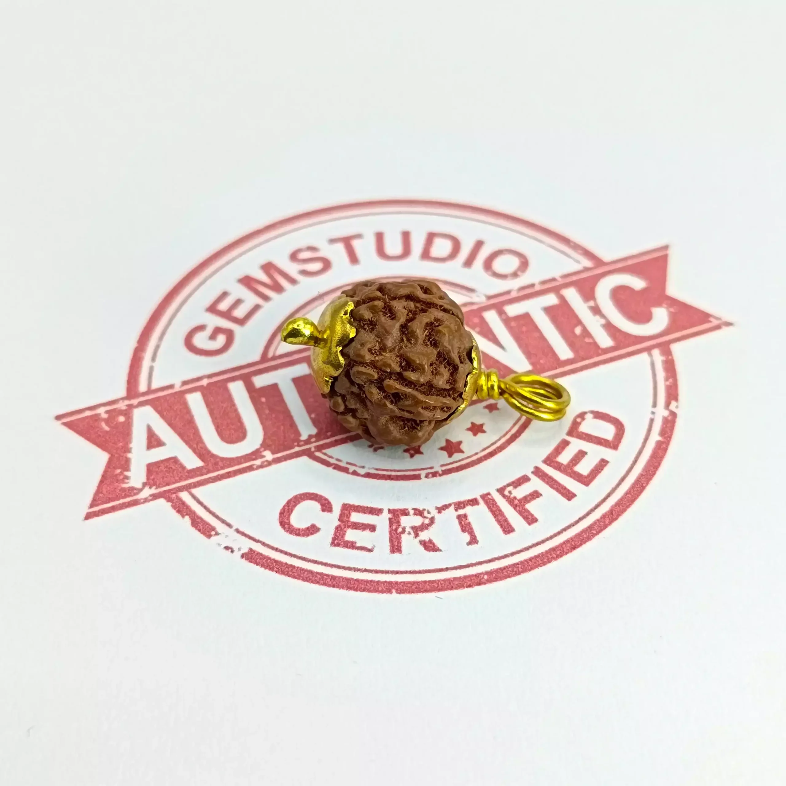 5 Mukhi Rudraksha - Indonesia - Image 5