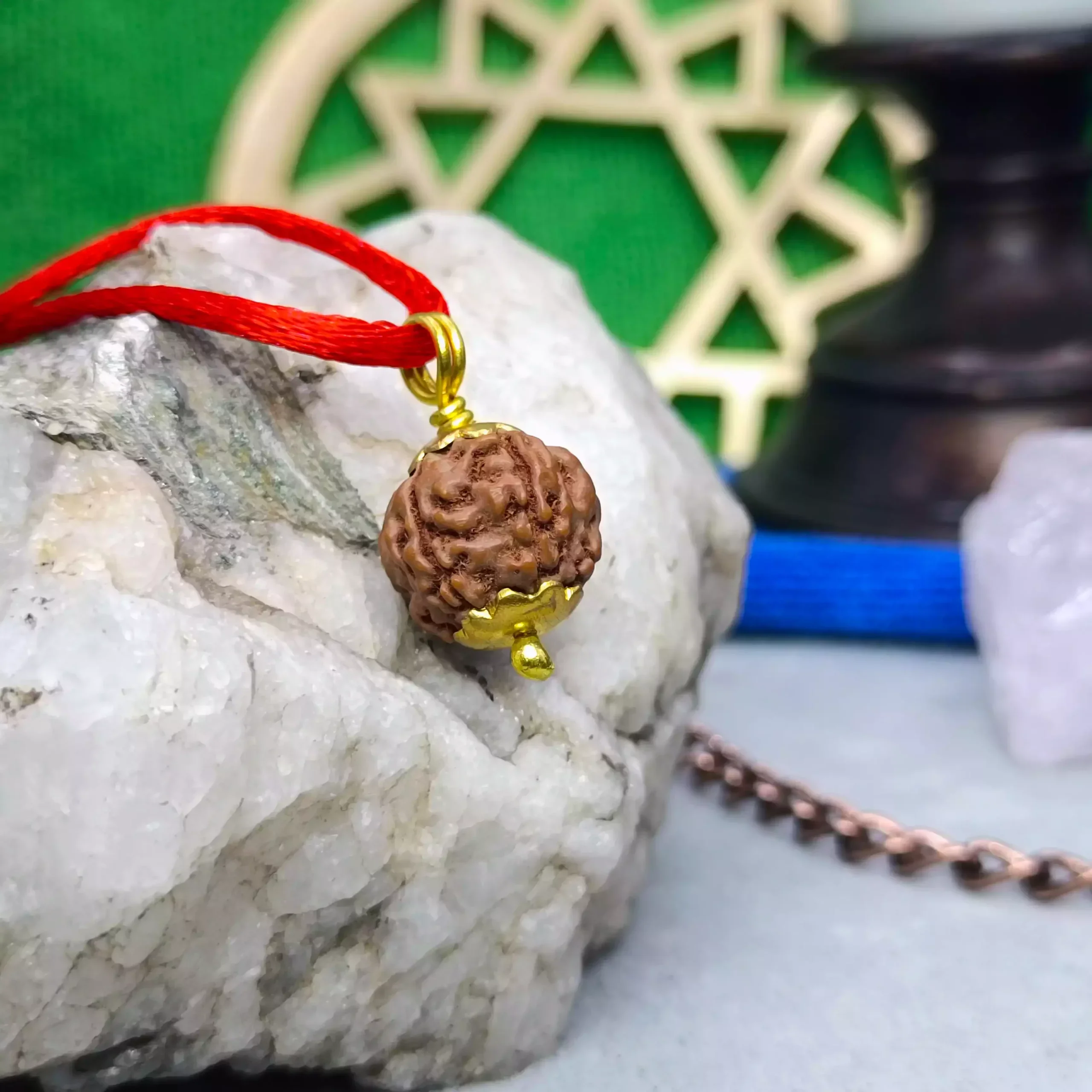 5 Mukhi Rudraksha - Indonesia - Image 6