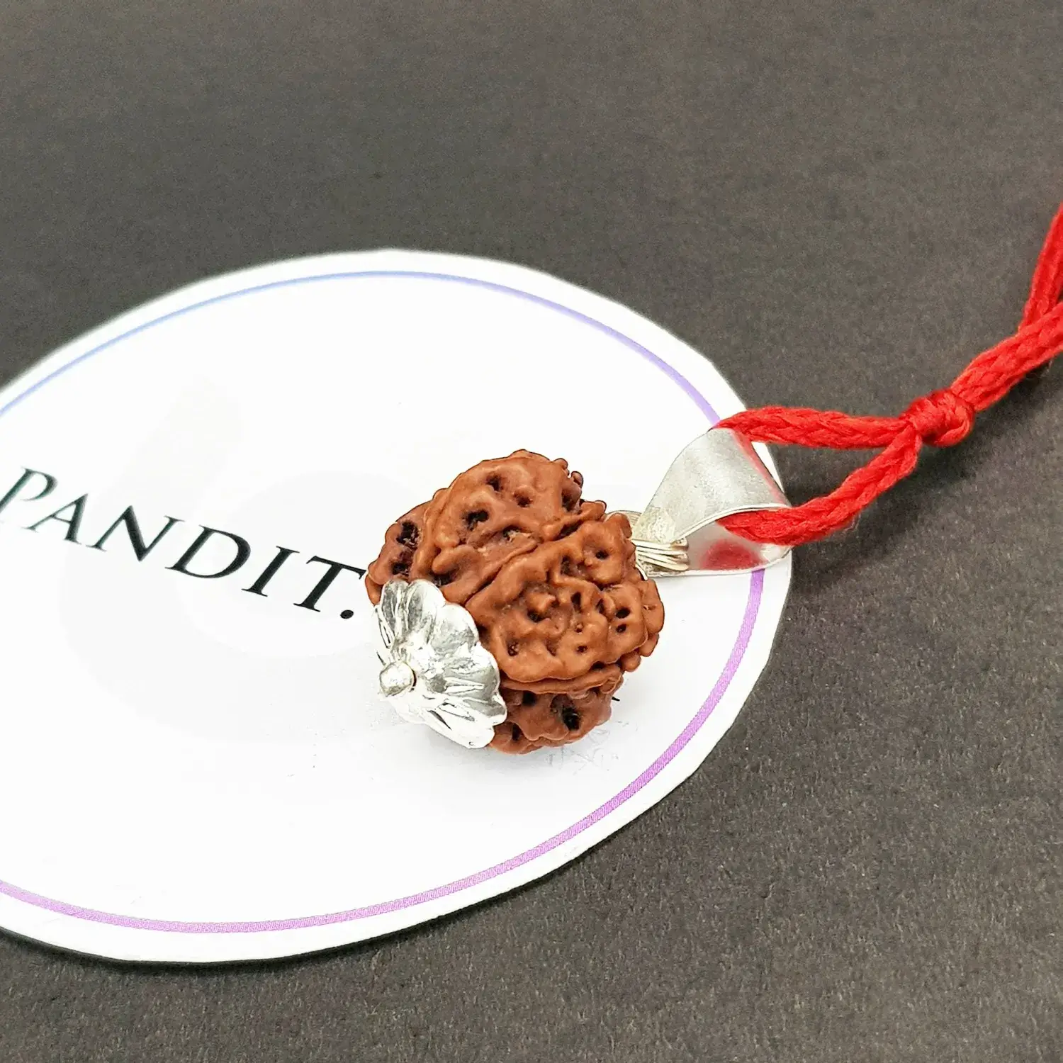 6 Faced Rudraksha - Nepal - Image 3