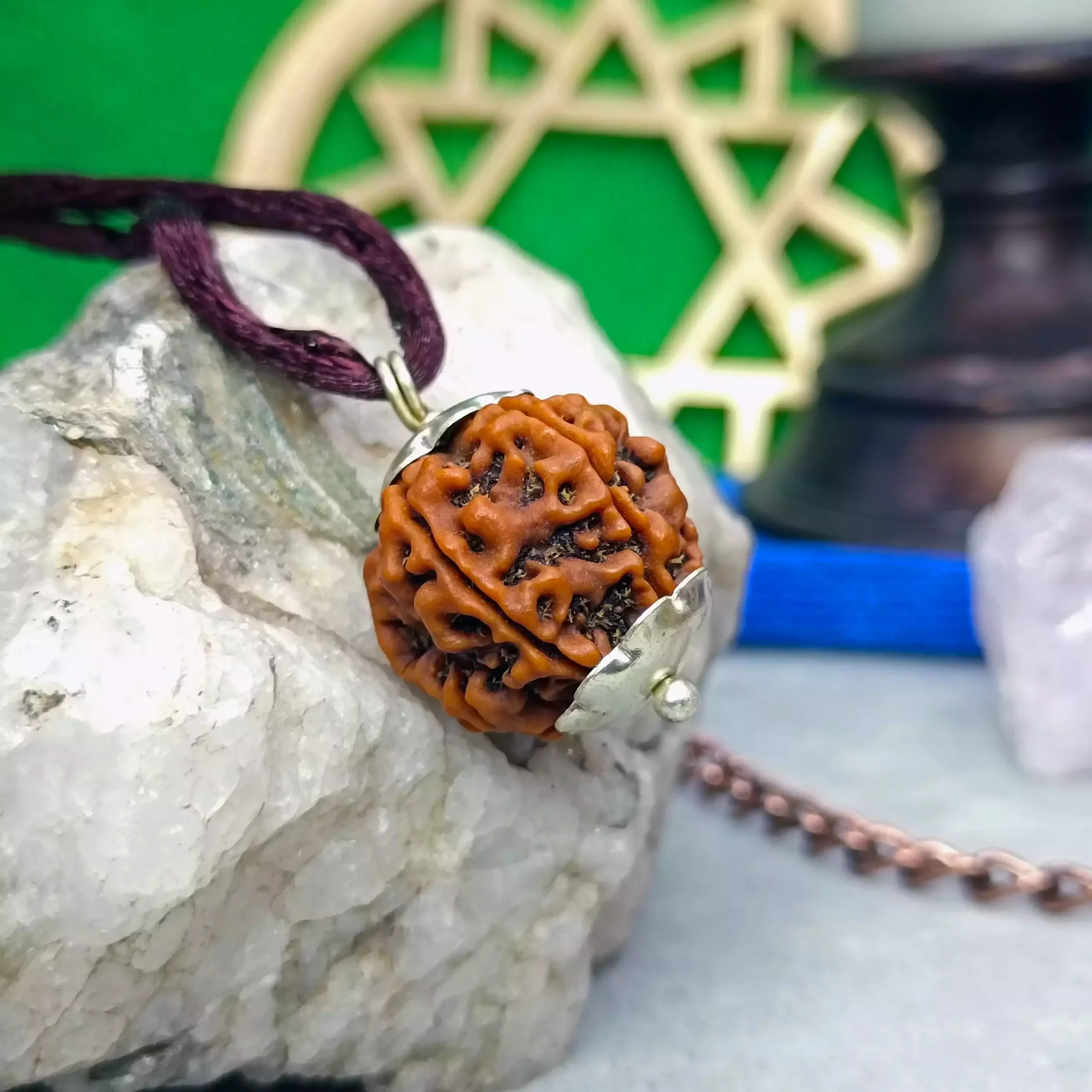 6 Faced Rudraksha - Nepal - Image 6
