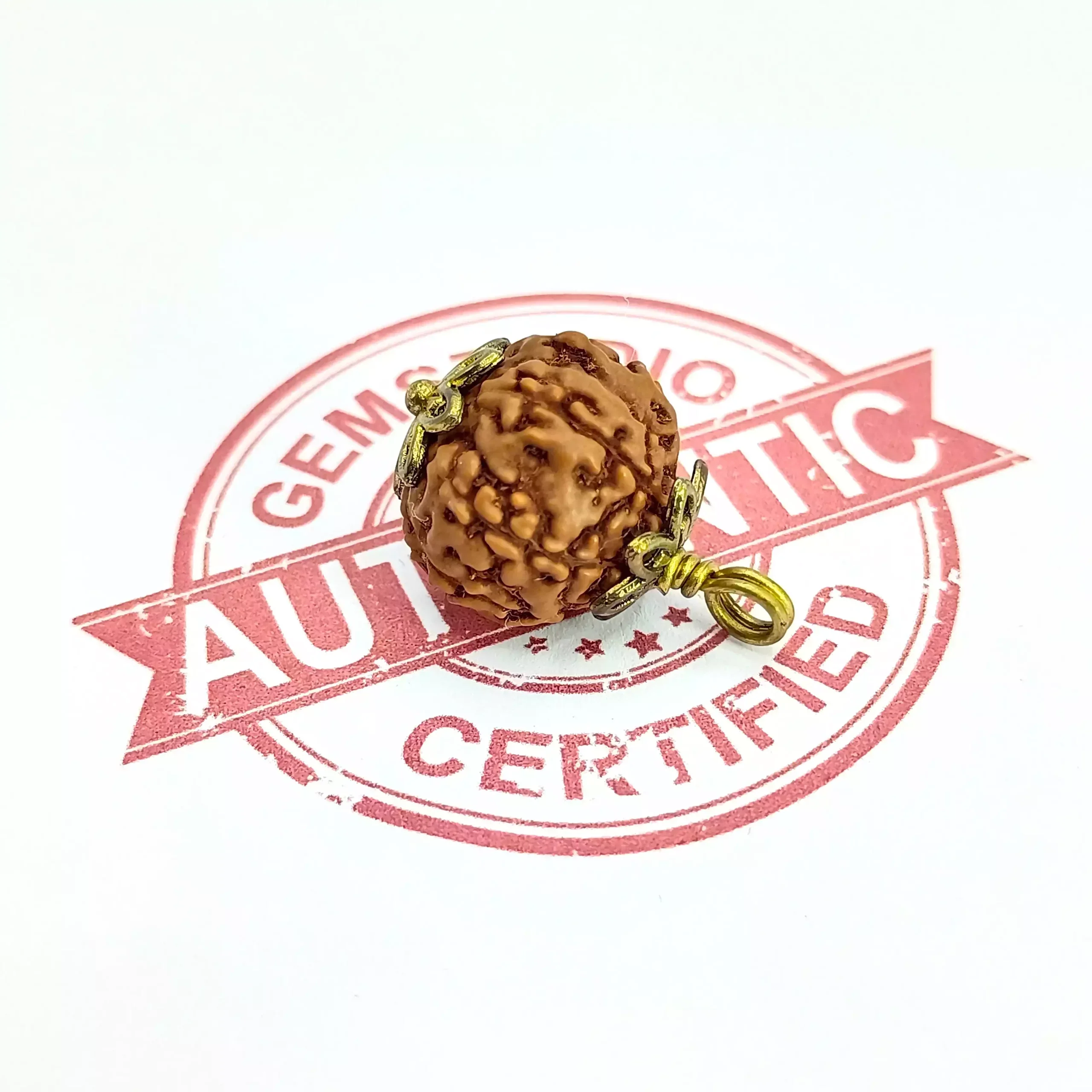 6 Mukhi Rudraksha - Indonesia - Image 5