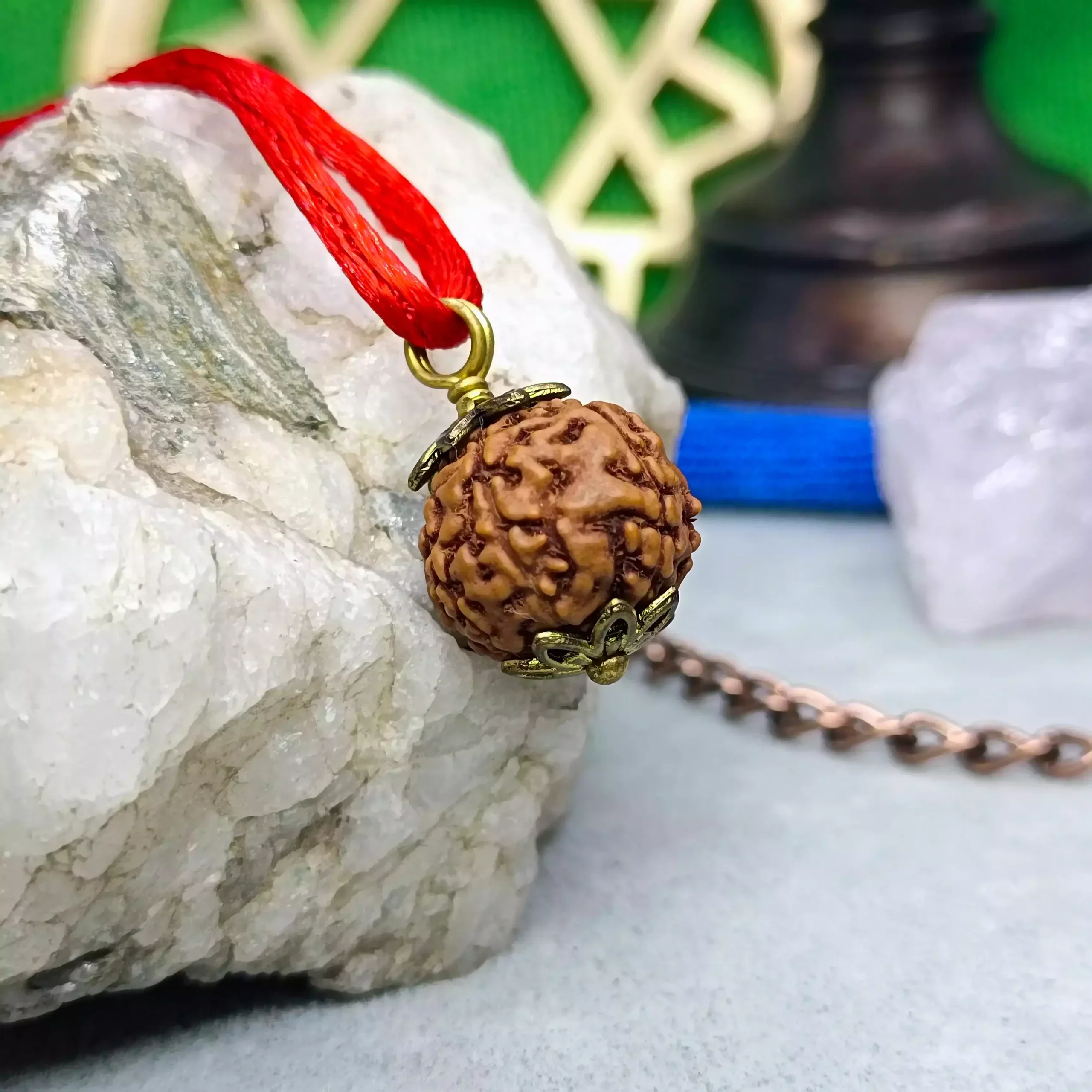 6 Mukhi Rudraksha - Indonesia - Image 6