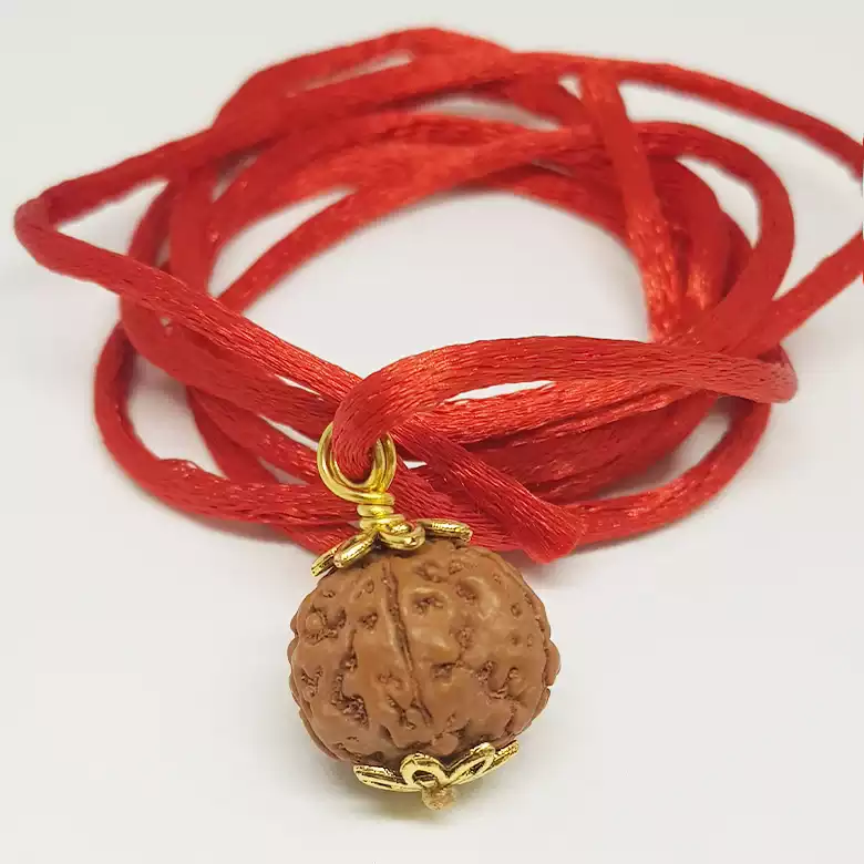 6 Mukhi Rudraksha - Indonesia - Image 7
