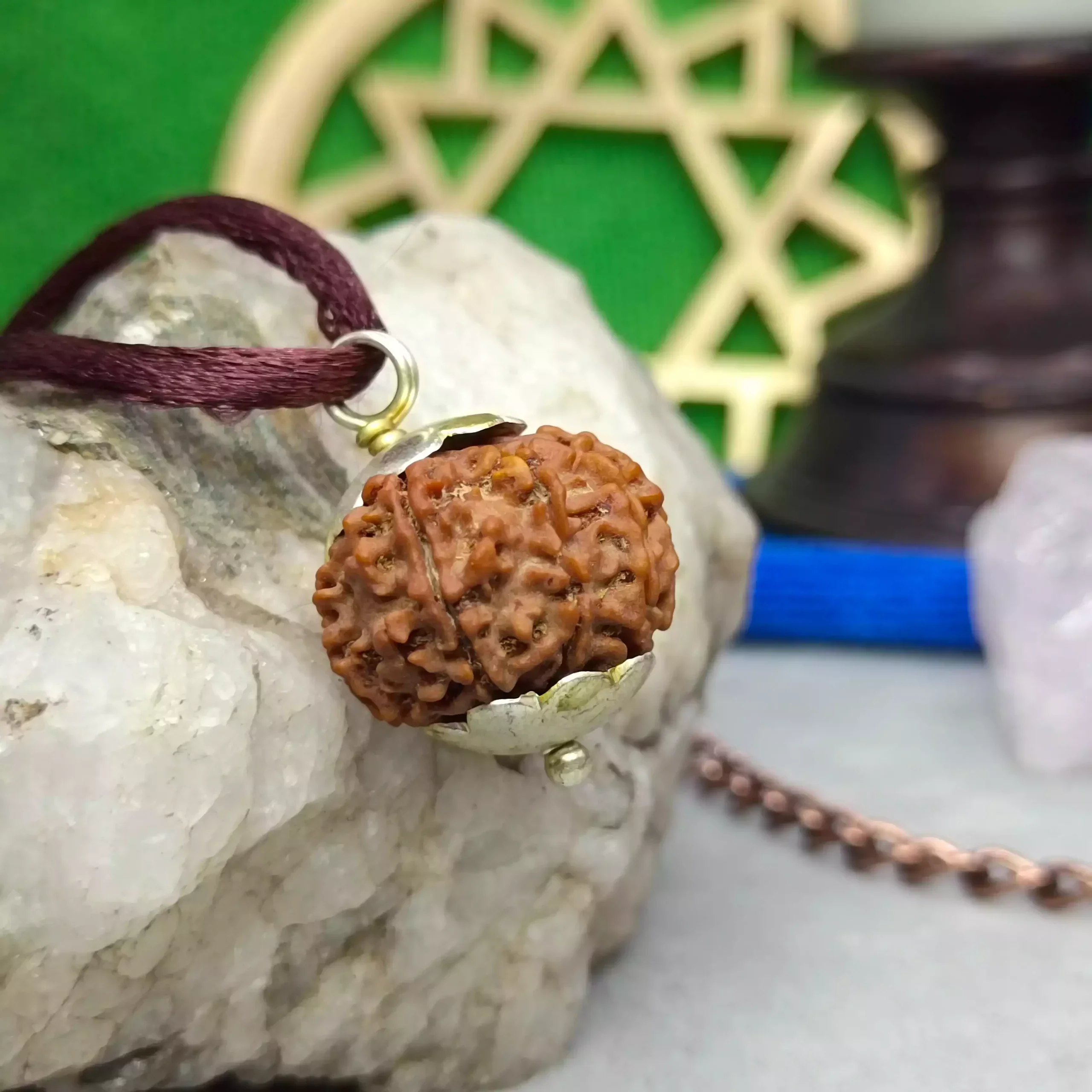 7 Mukhi Rudraksha - Nepal - Image 6