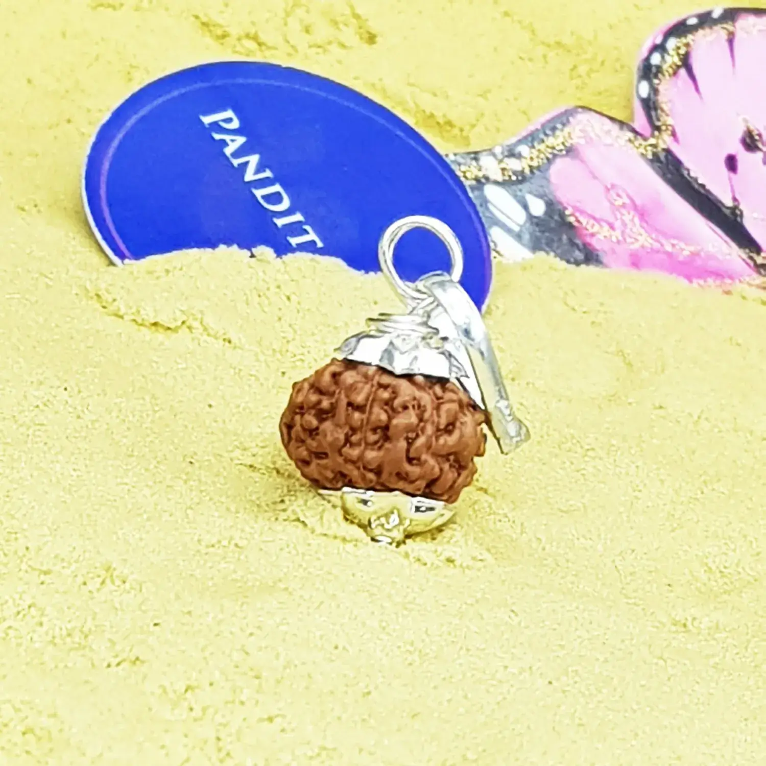 7 Mukhi Rudraksha - Indonesia - Image 3
