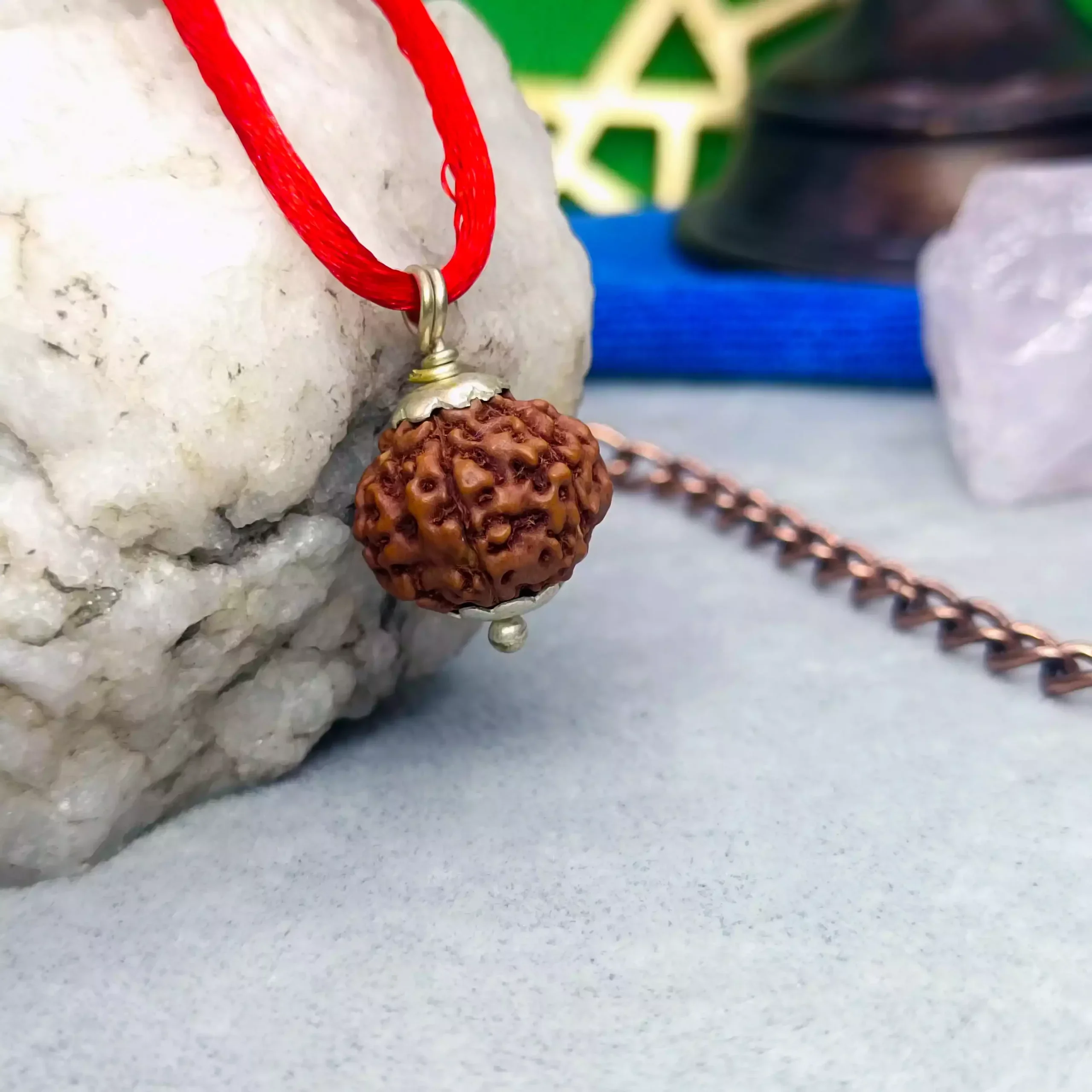 7 Mukhi Rudraksha - Indonesia - Image 6