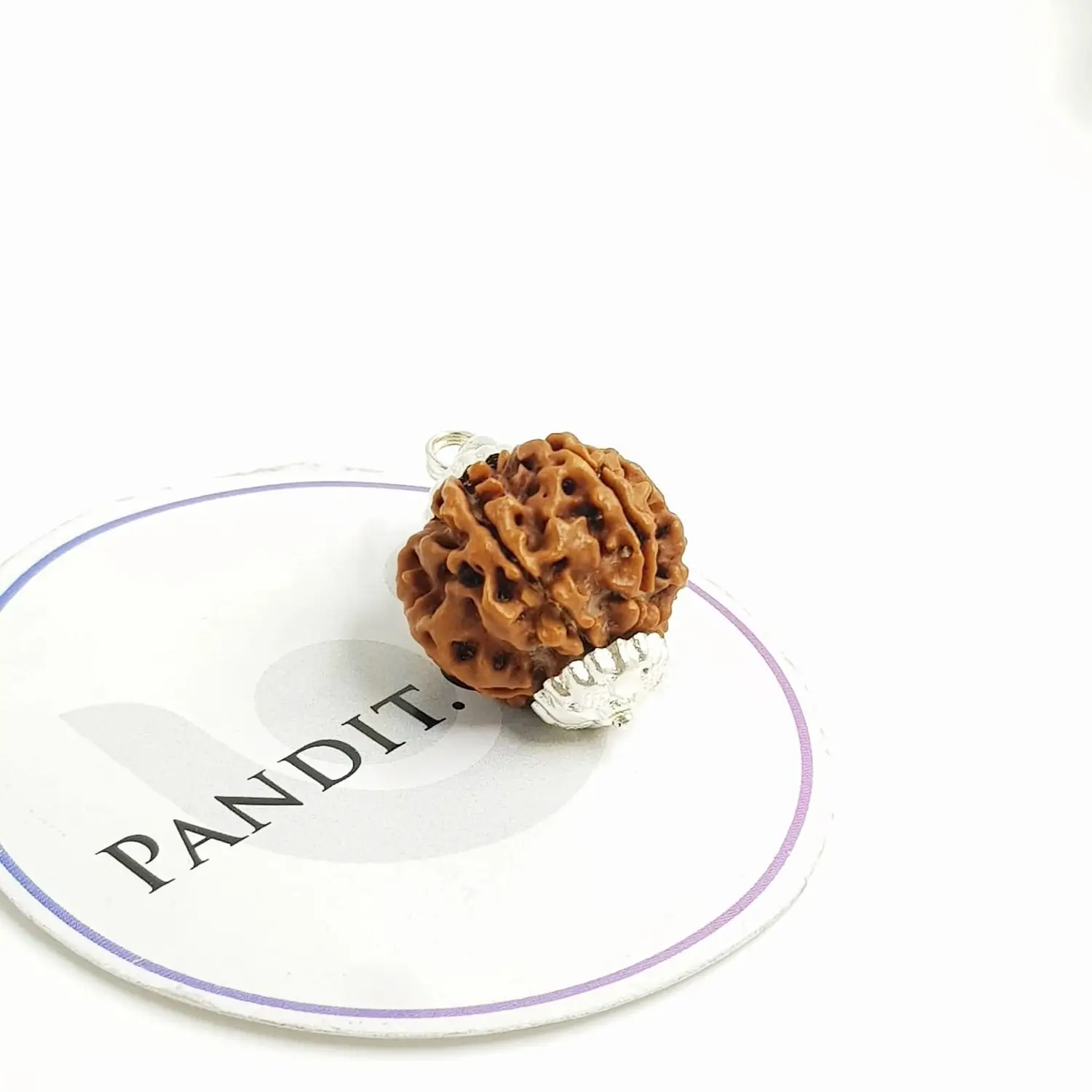 7 Mukhi Super Premium Rudraksha - Image 3