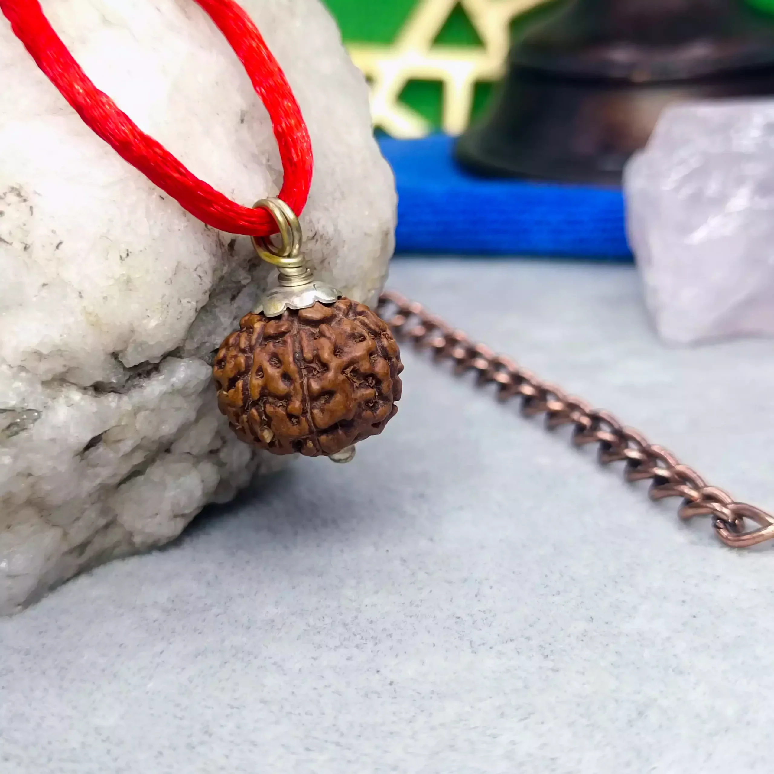 8 Mukhi Rudraksha - Indonesia - Image 6