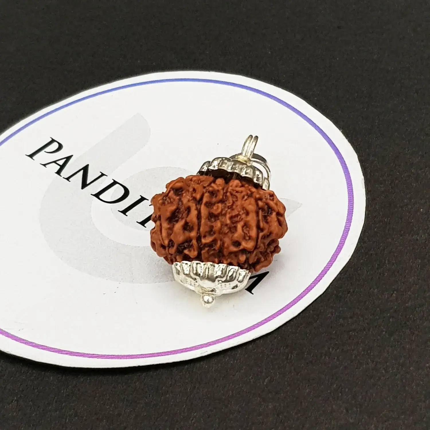 9 Faced Rudraksha - Nepal - Image 5