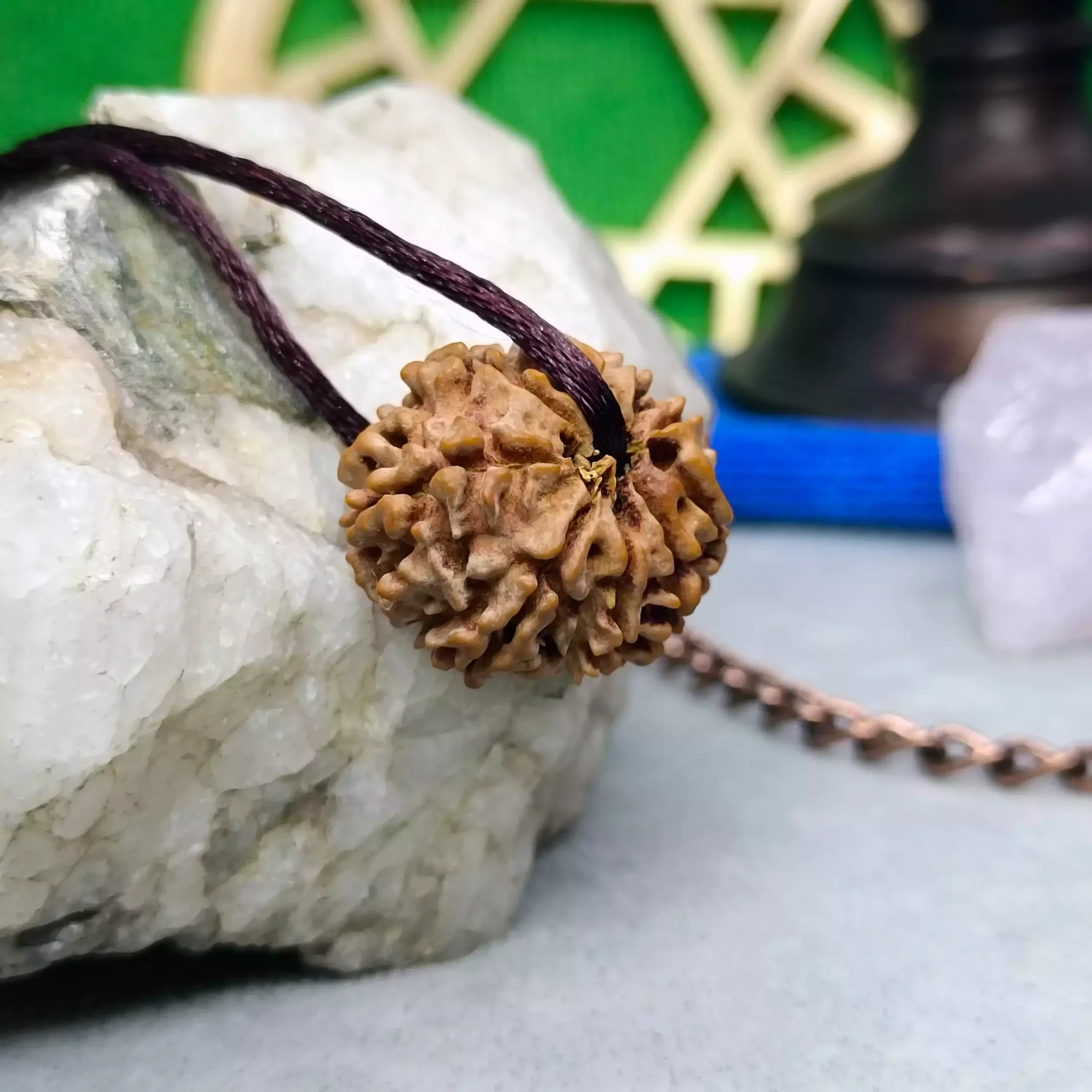 9 Faced Rudraksha - Nepal - Image 8