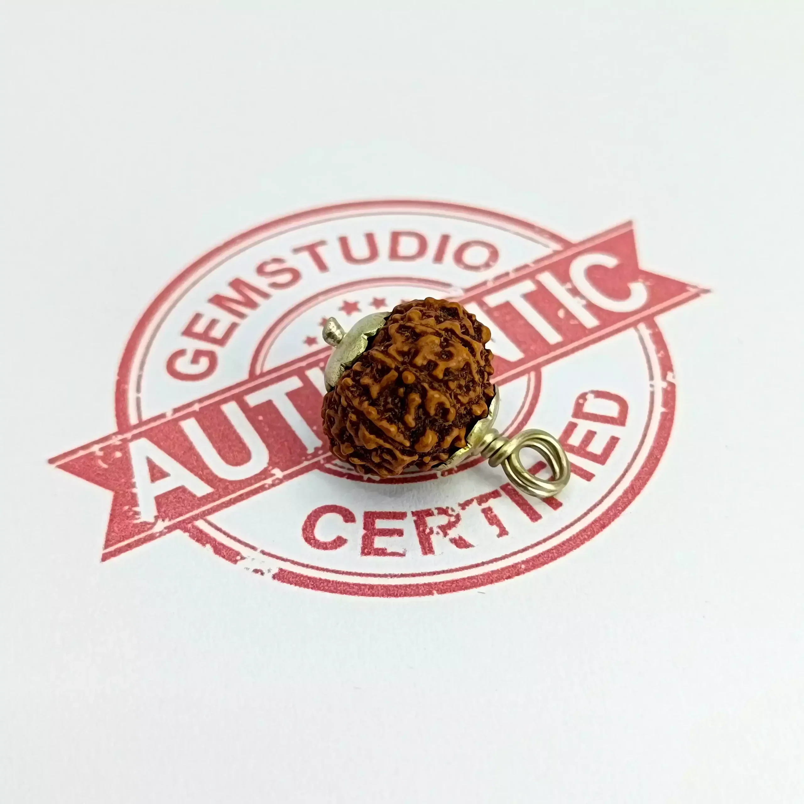 9 Mukhi Rudraksha - Indonesia - Image 11