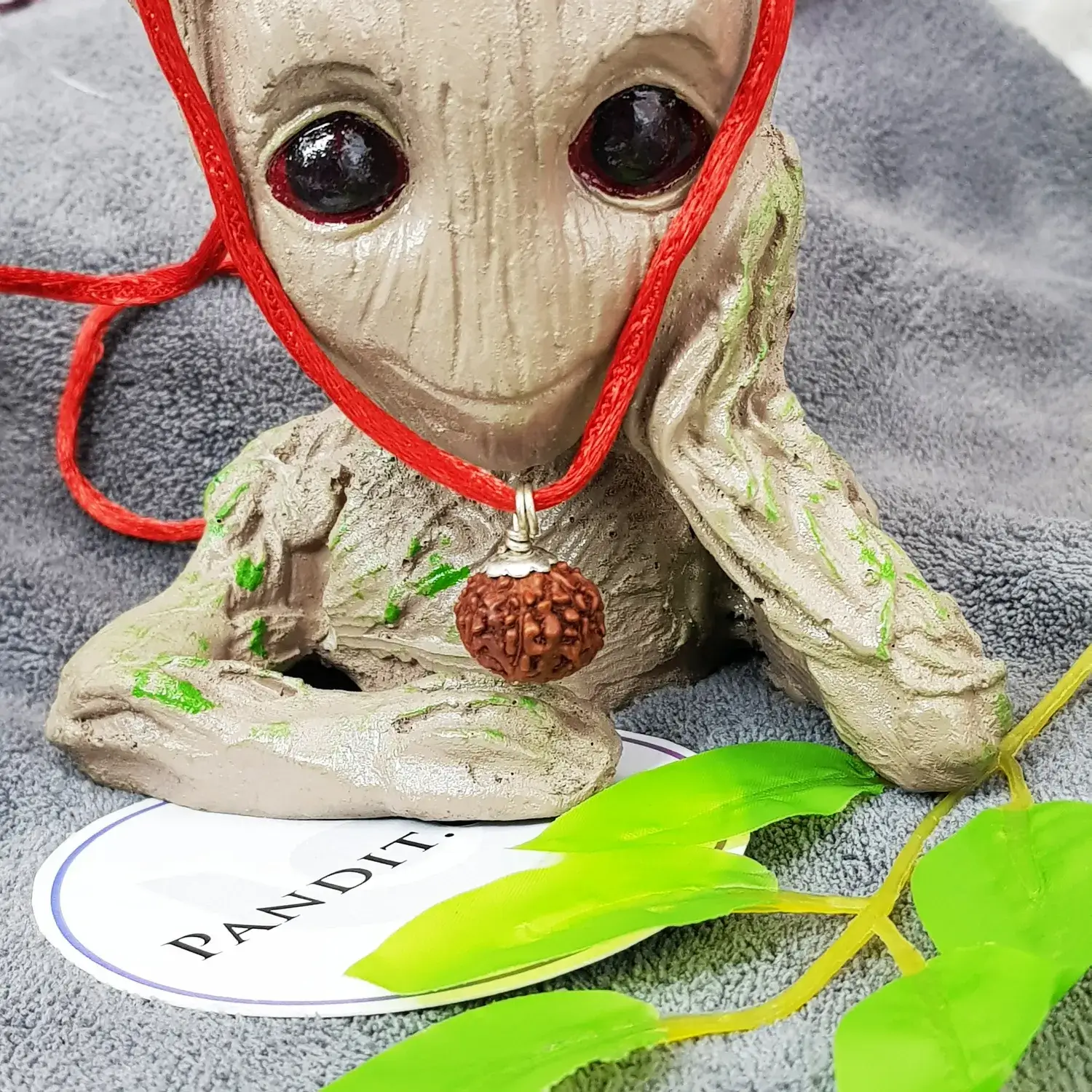 9 Mukhi Rudraksha - Indonesia - Image 3