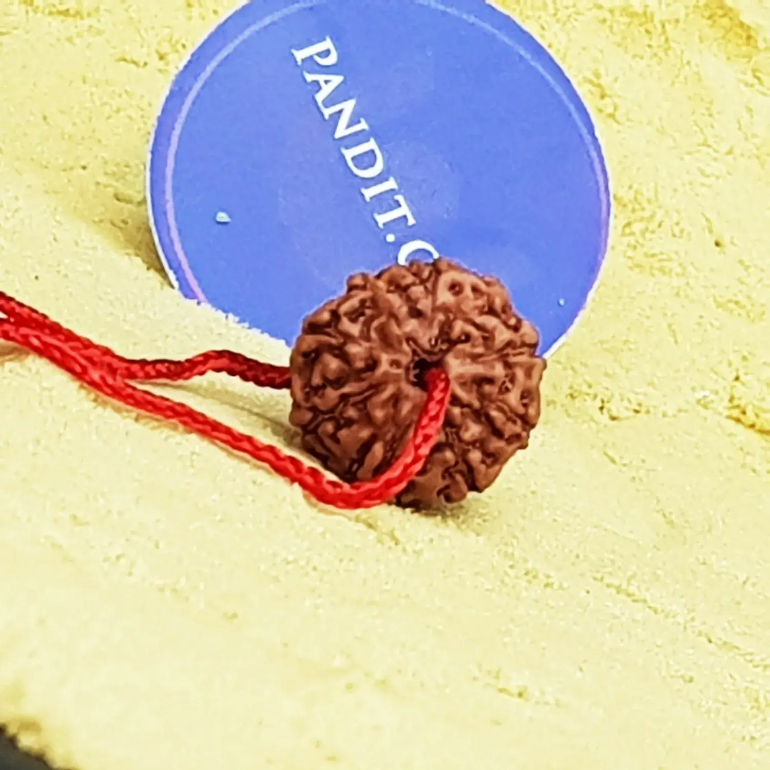 9 Mukhi Rudraksha - Indonesia - Image 6