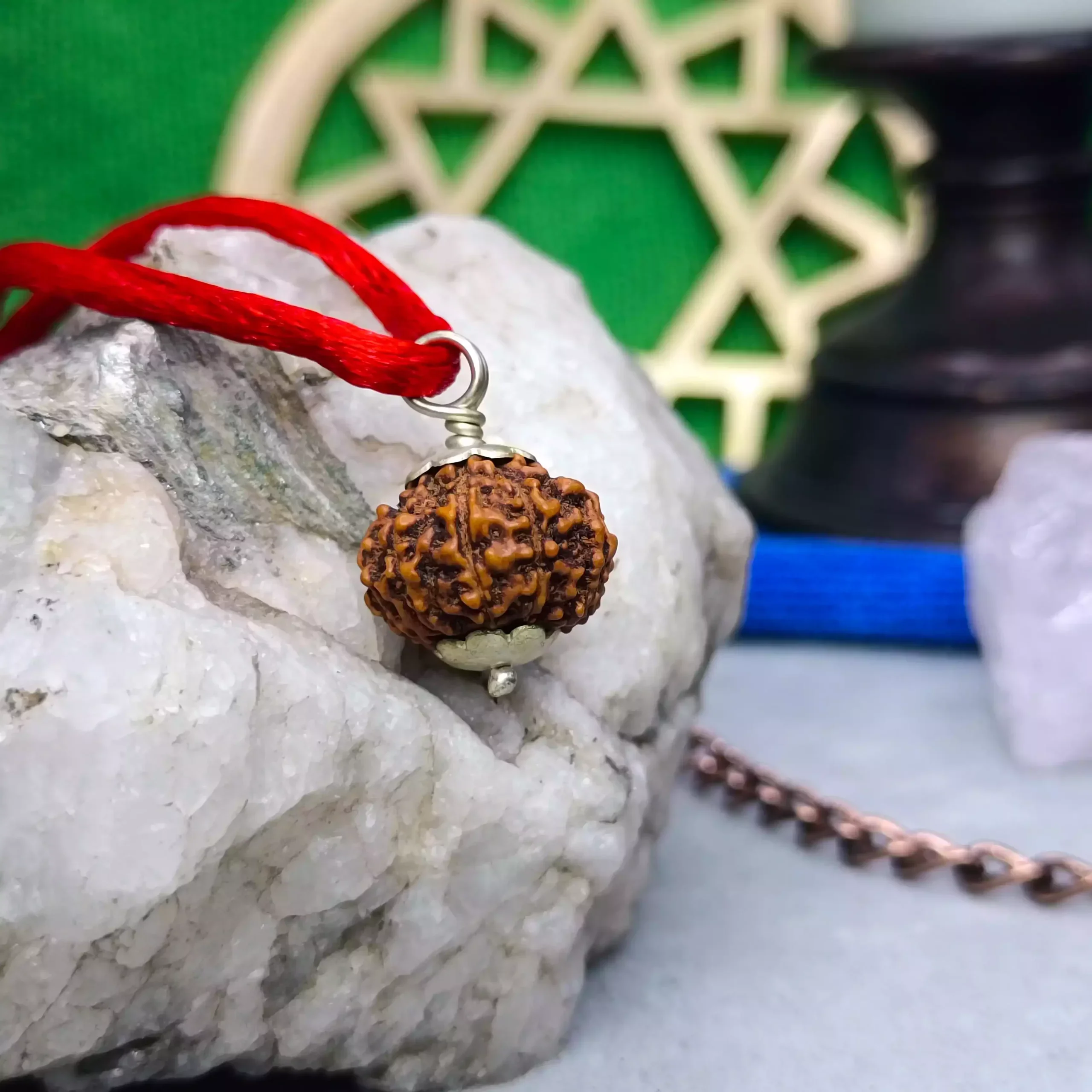 9 Mukhi Rudraksha - Indonesia - Image 7
