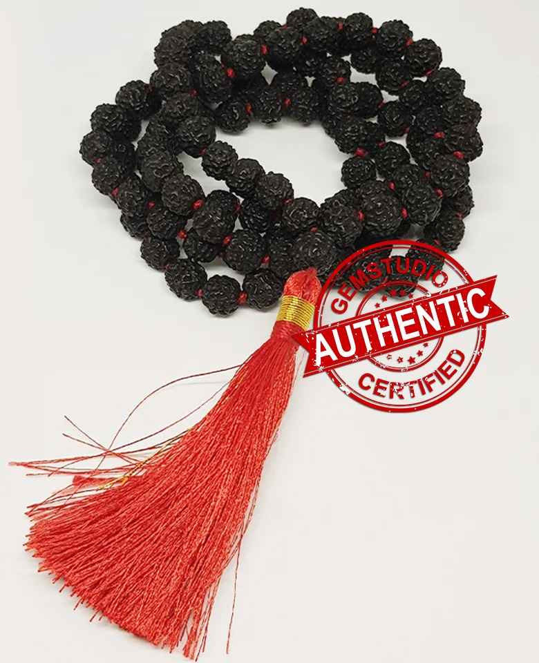 Black Rudraksha Mala - To Develop Focus & Kill Depression - Image 4
