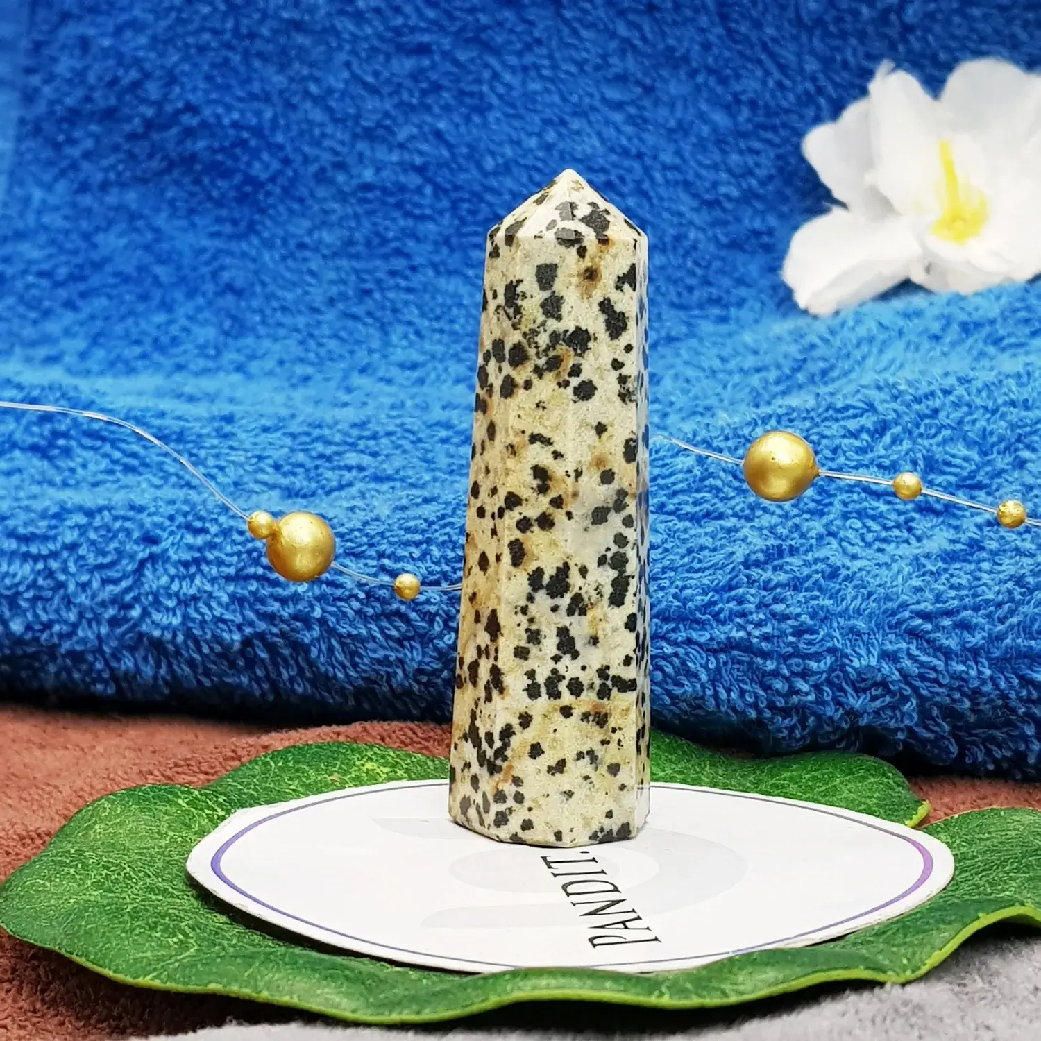 Dalmatian Pencil Tower Point - Image 4