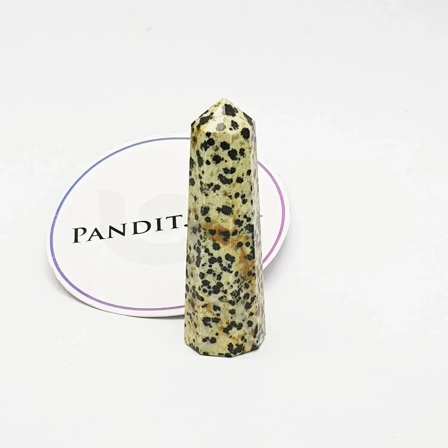 Dalmatian Pencil Tower Point - Image 5