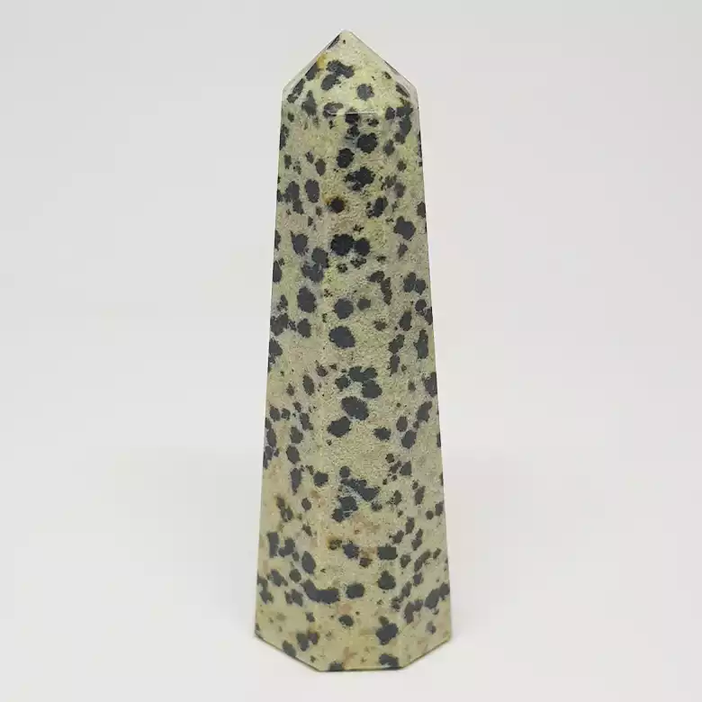 Dalmatian Pencil Tower Point - Image 6