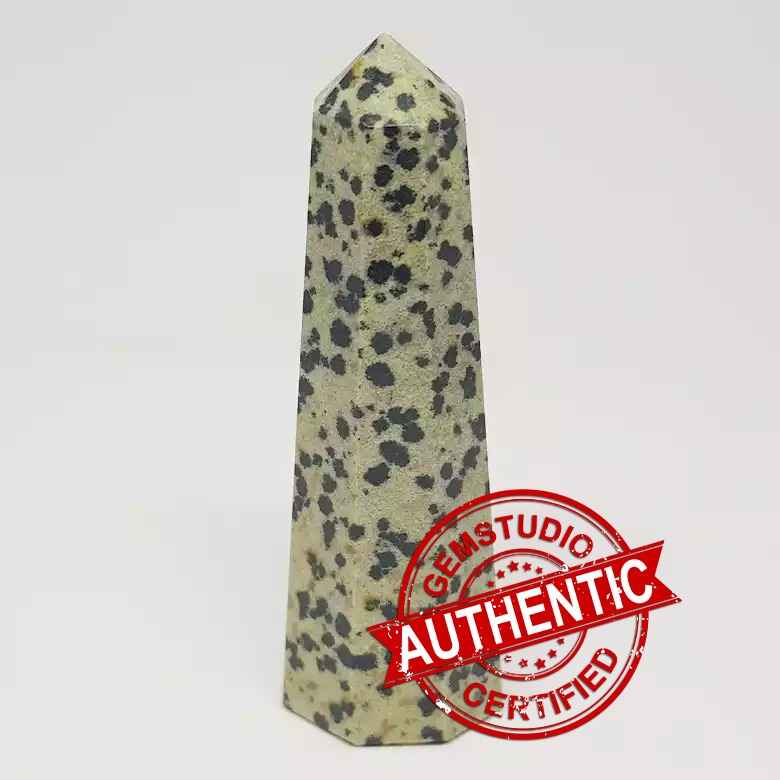 Dalmatian Pencil Tower Point - Image 8