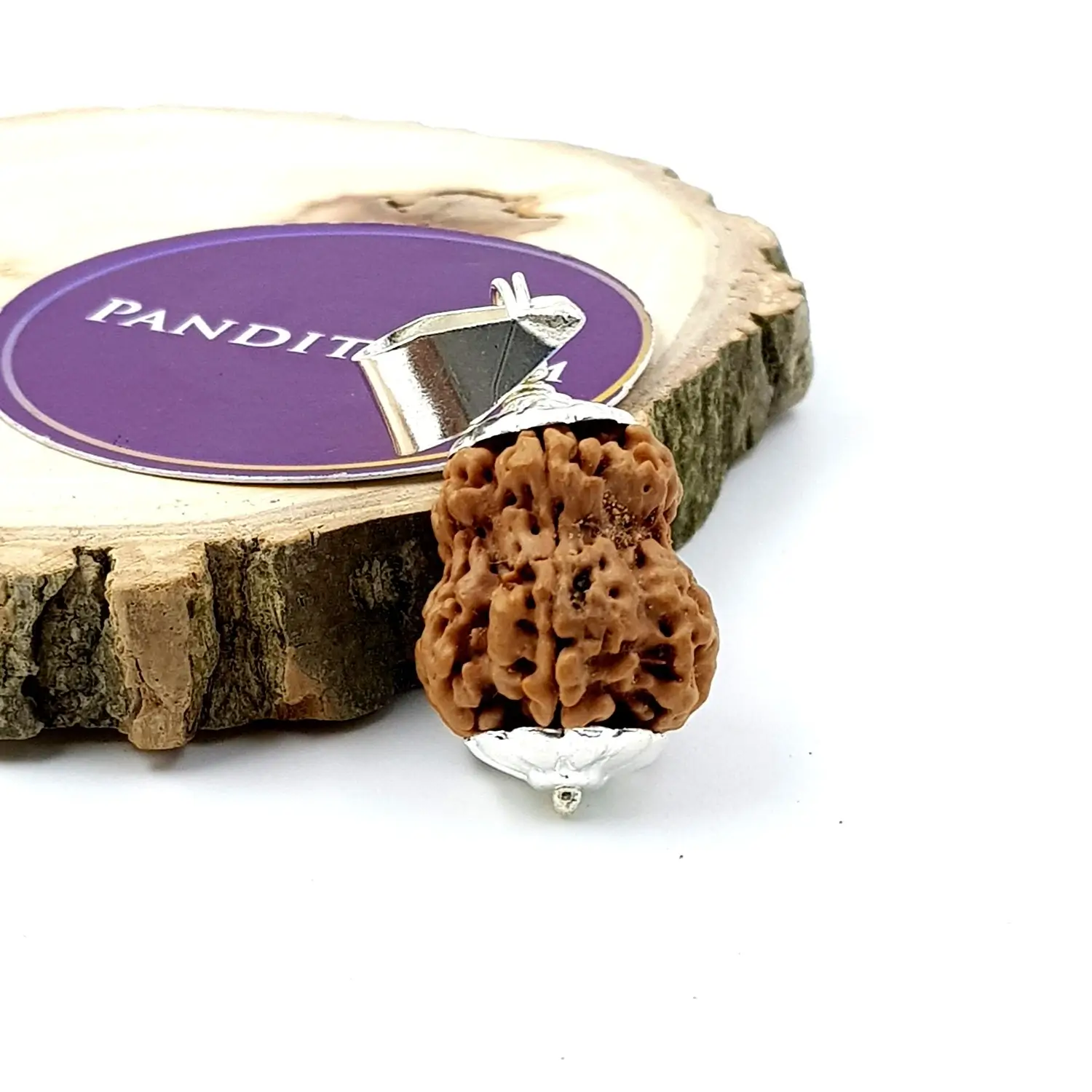 Damru Rudraksha - Premium - Image 2