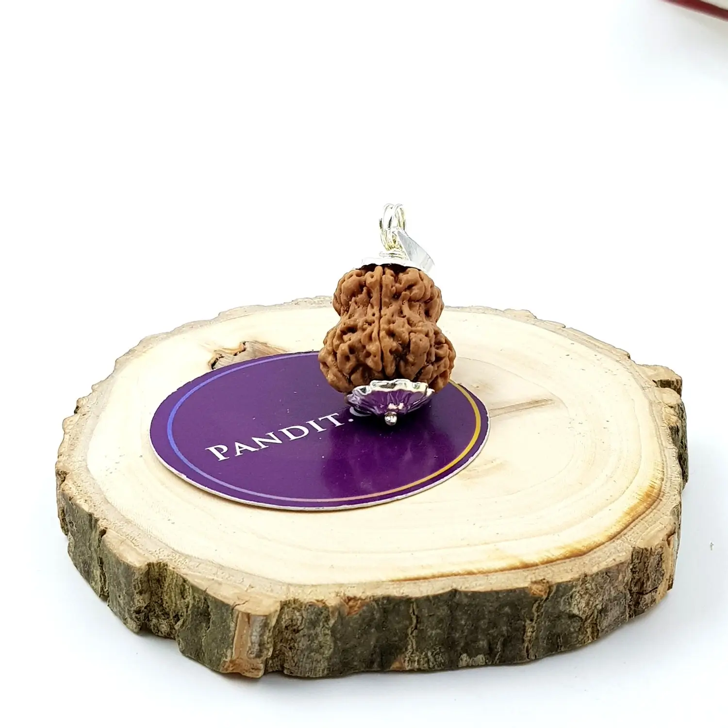 Damru Rudraksha - Premium - Image 3
