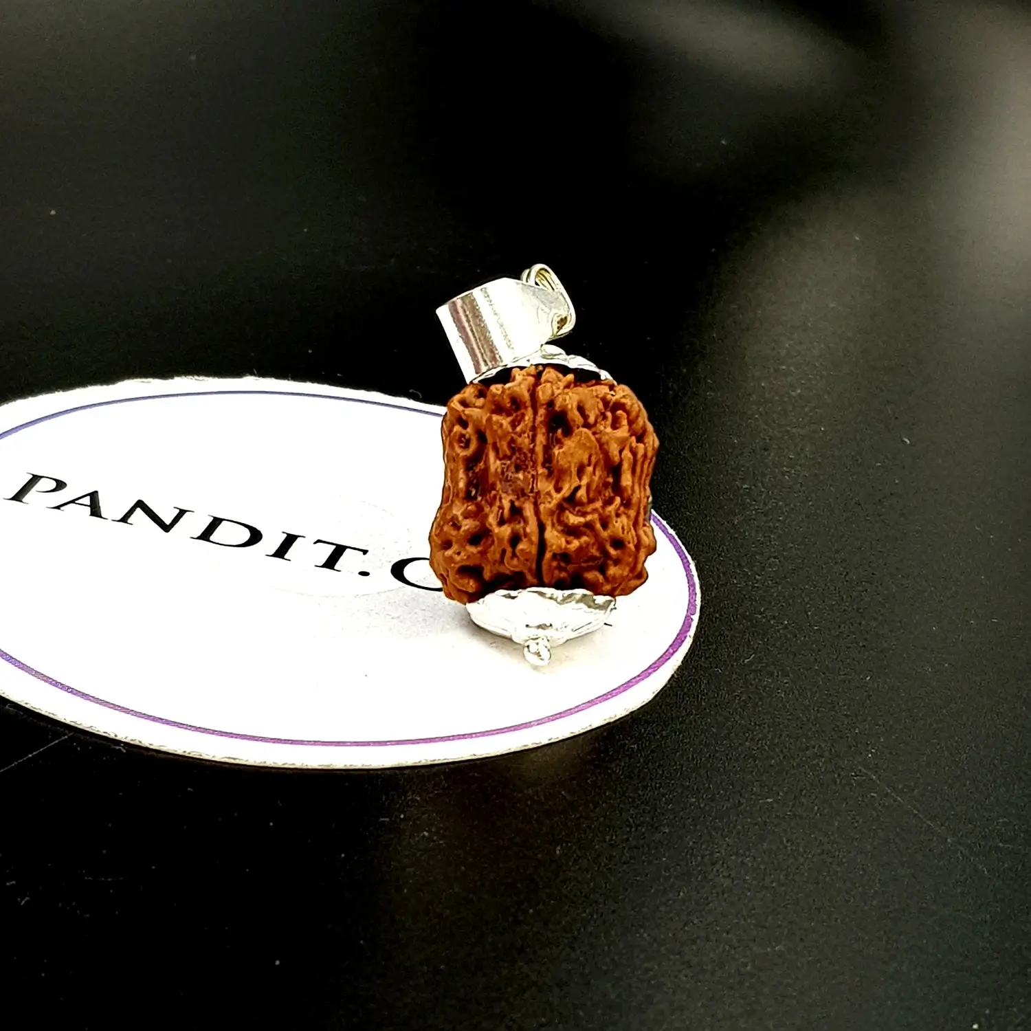 Damru Rudraksha - Super Premium - Image 3